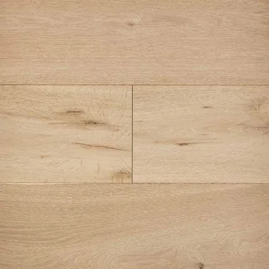 Seba Oak