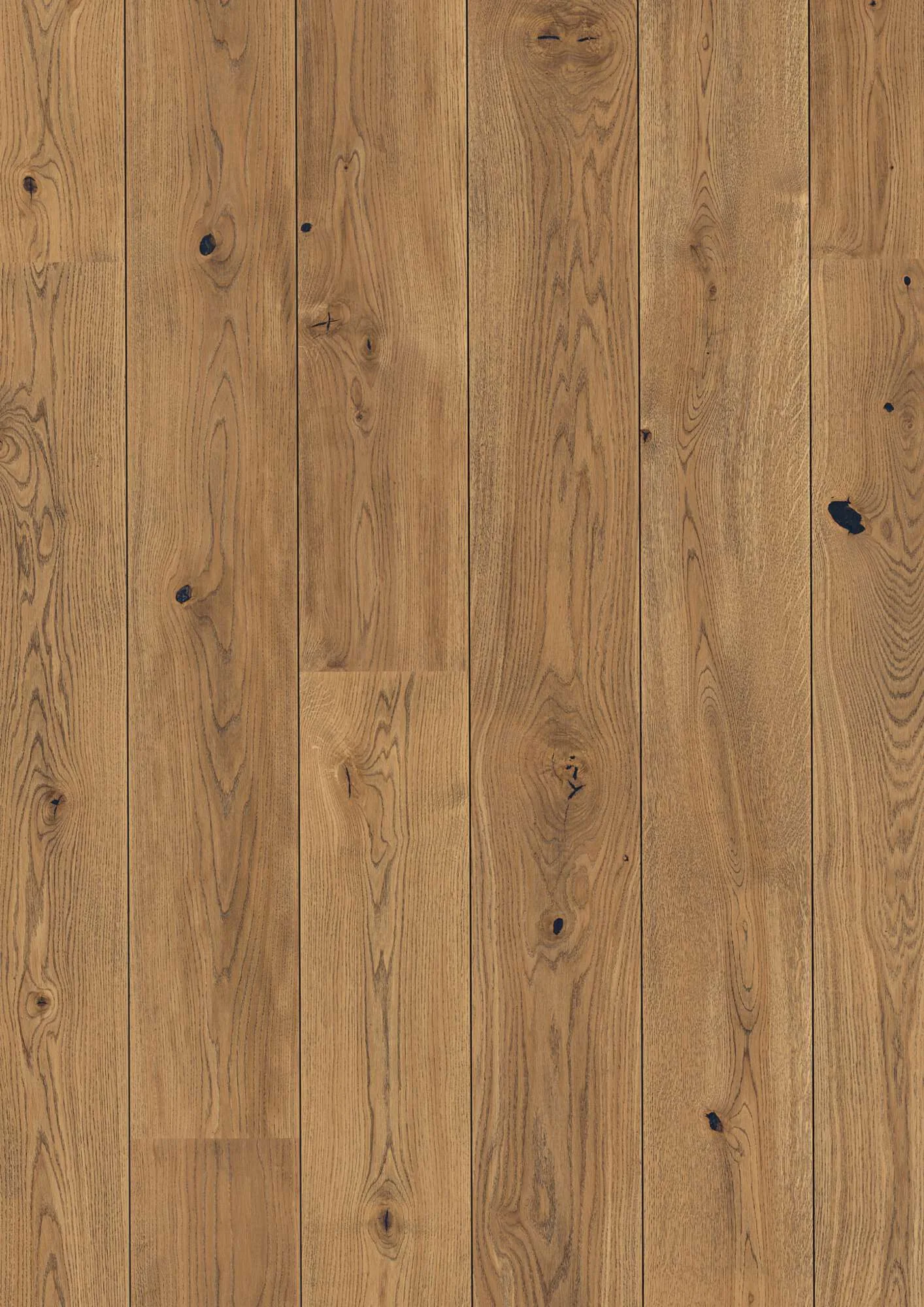 Plank Castle Oak Alamo Vivo