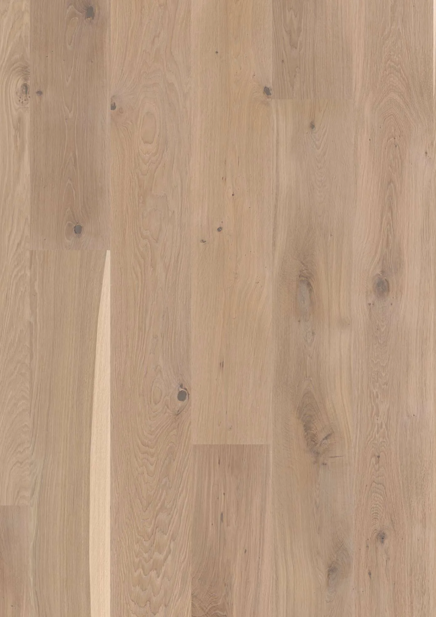 Plank Castle Oak White Vivo