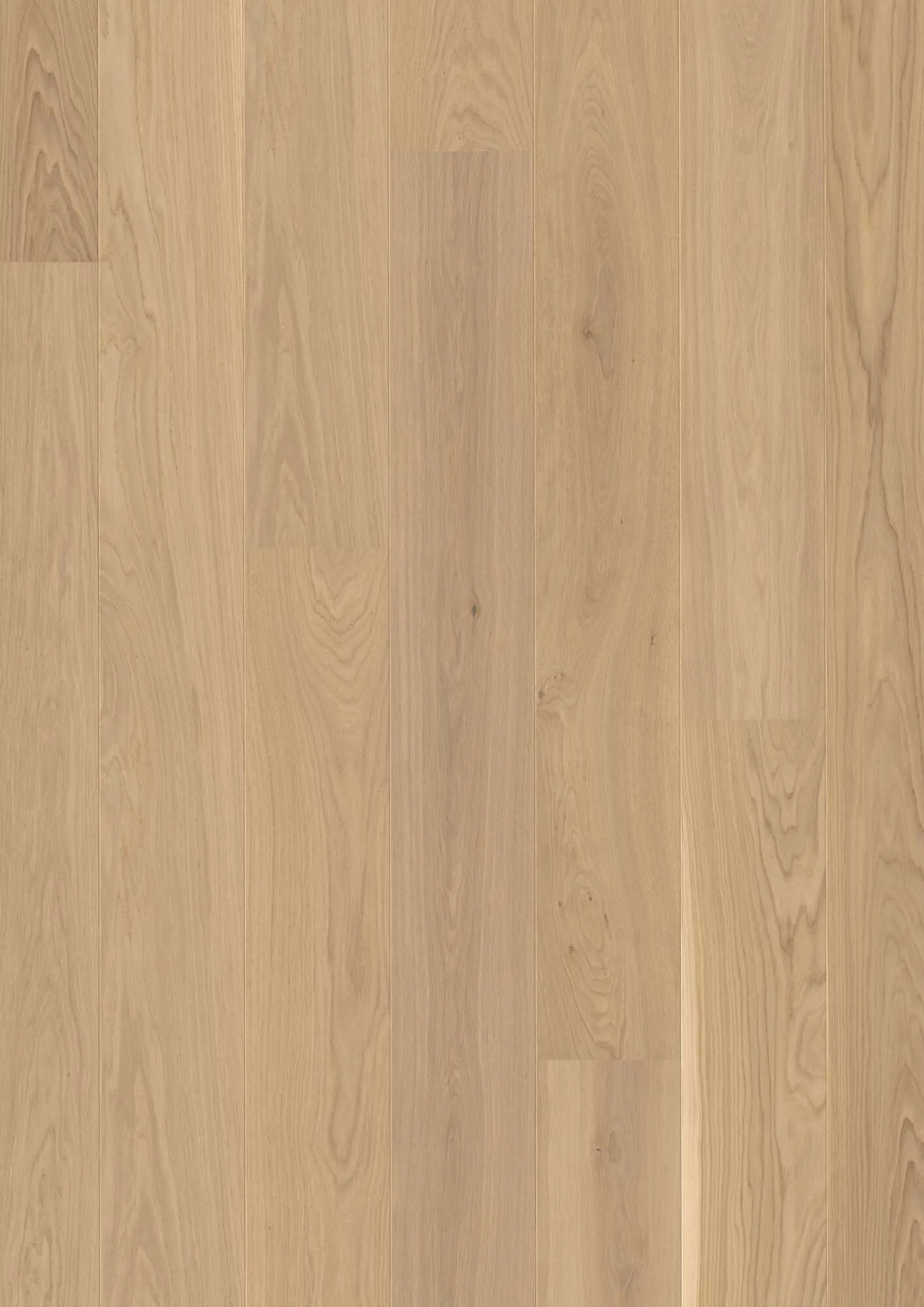 Plank Castle Oak Transparent Andante