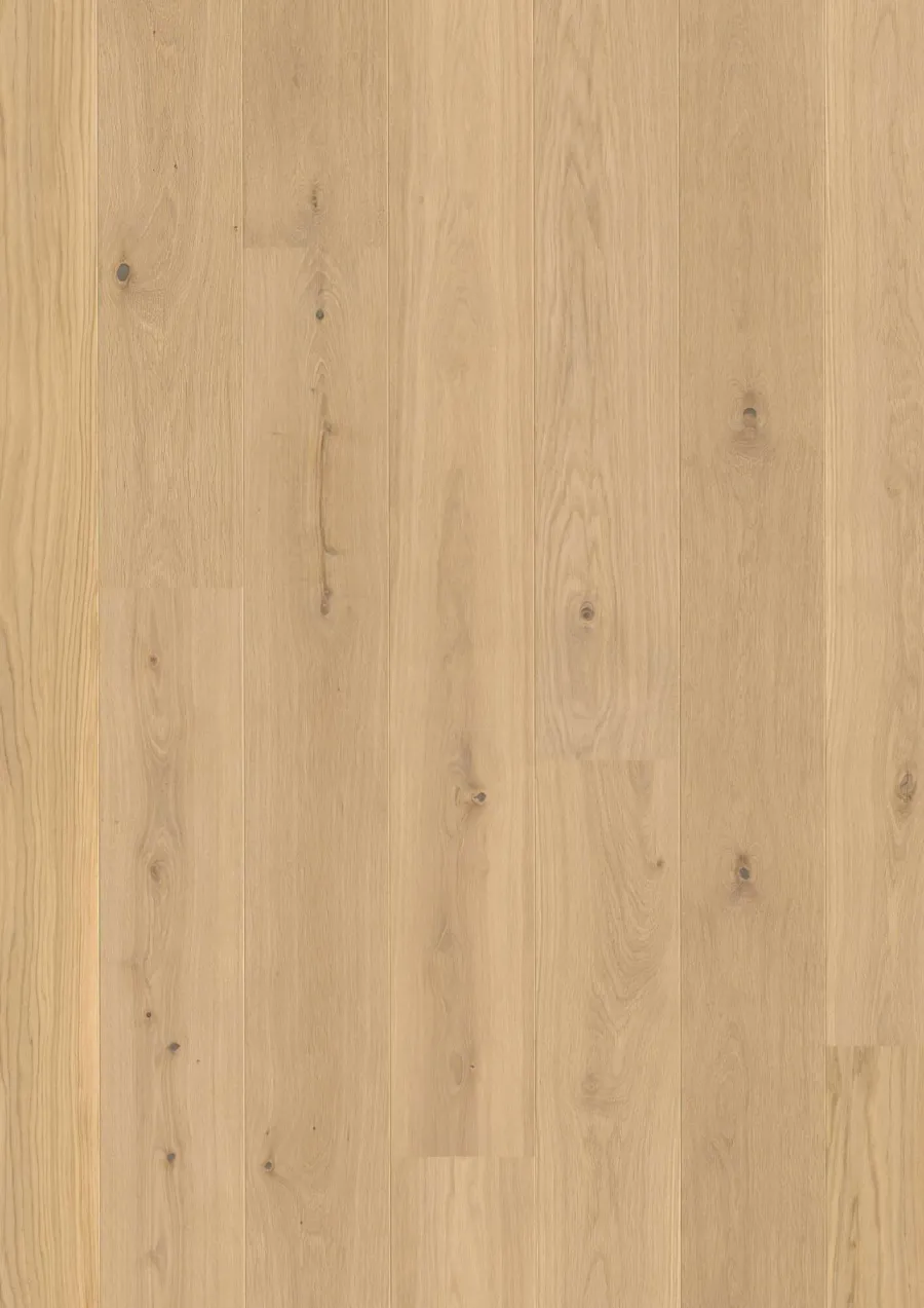 Plank Castle Oak Transparent Animoso