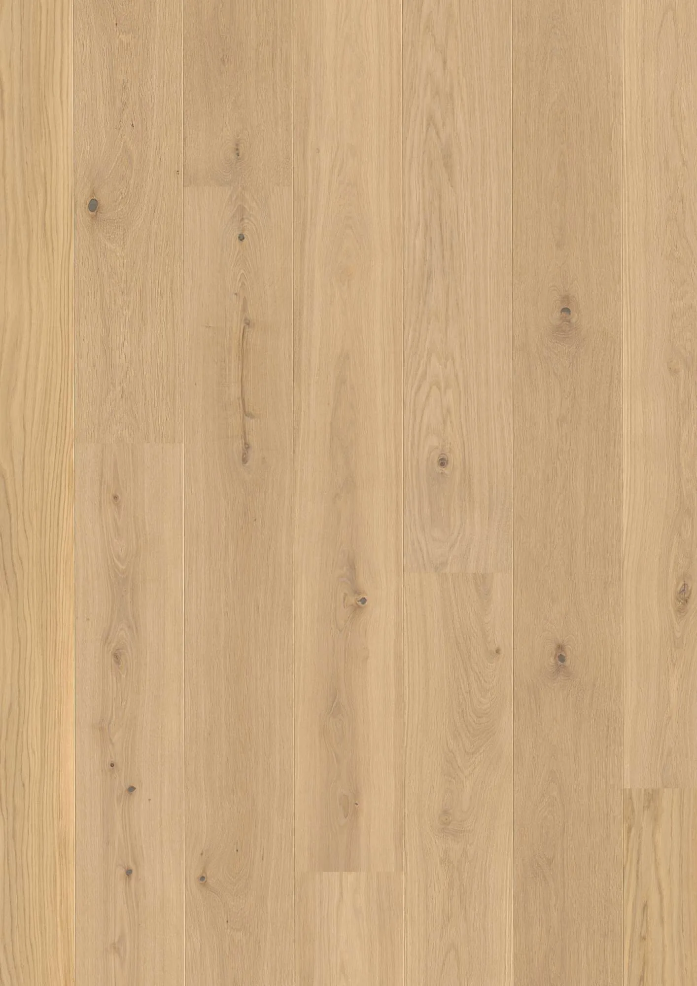 Plank Castle Oak Transparent Animoso