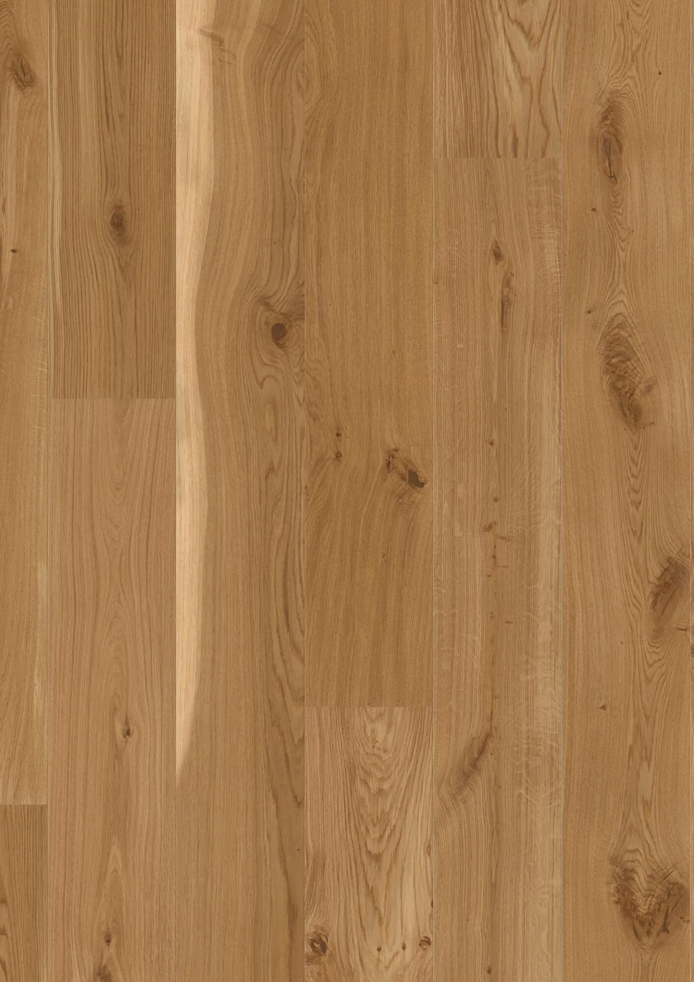 Plank Castle Oak Transparent Vivo