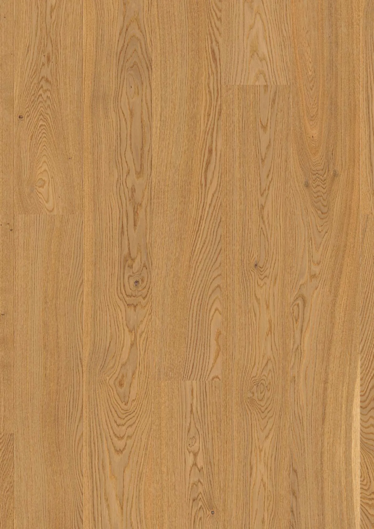 Plank Castle Oak Transparent Andante