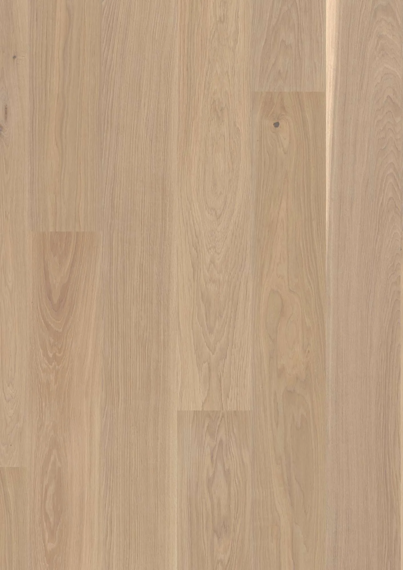 Plank Castle Oak White Andante