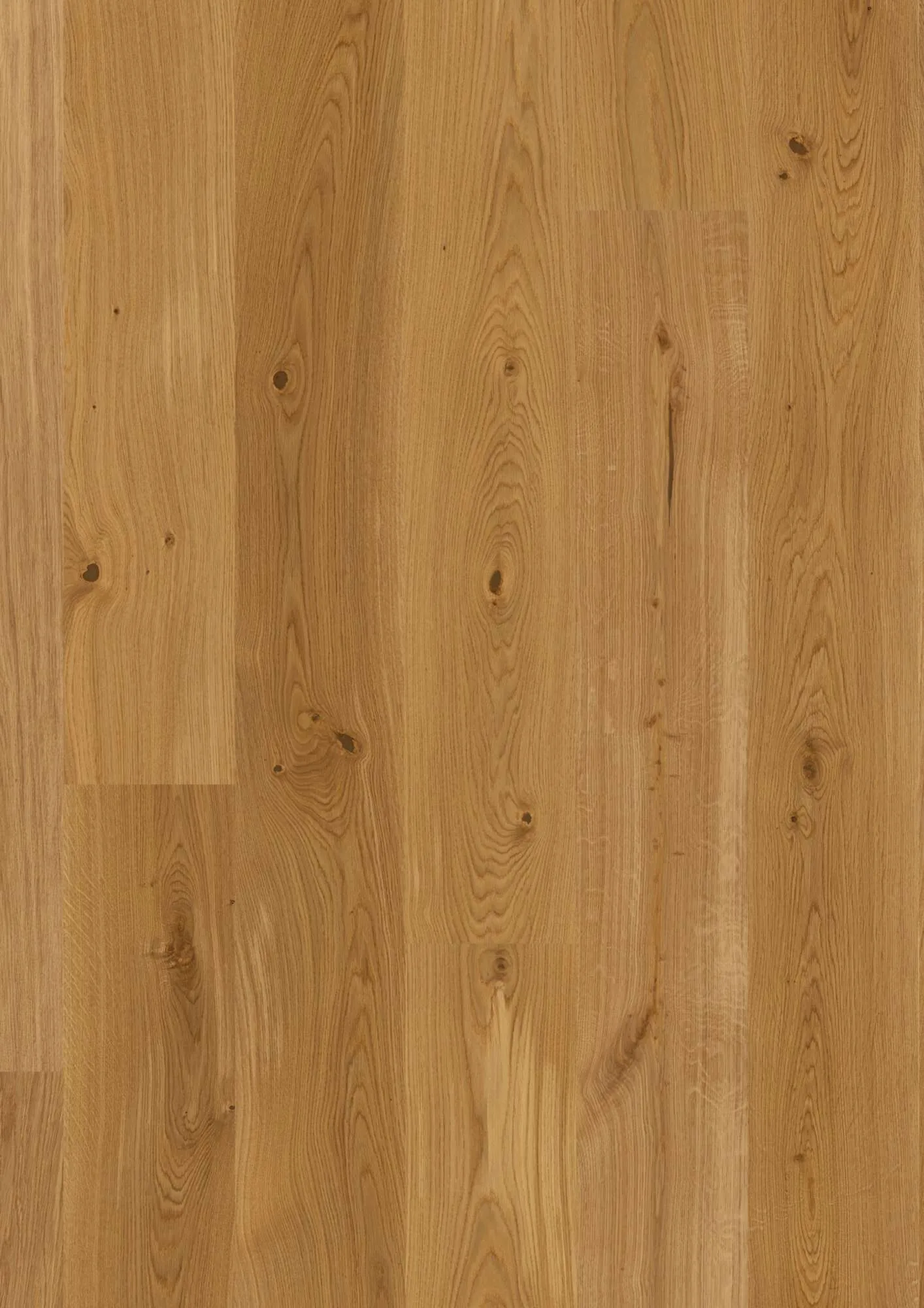 Plank Castle Oak Transparent Animoso