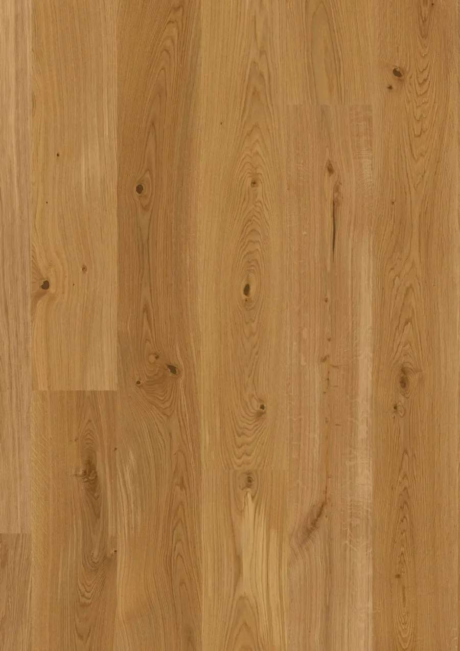 Plank Castle Oak Transparent Animoso