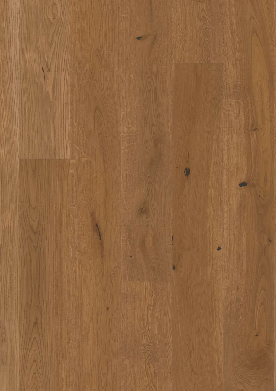 Plank Castle Oak Honey Vivo