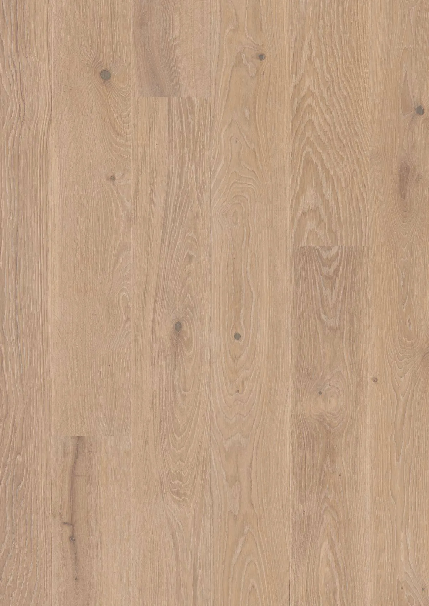 Plank Castle Oak Coral Animoso