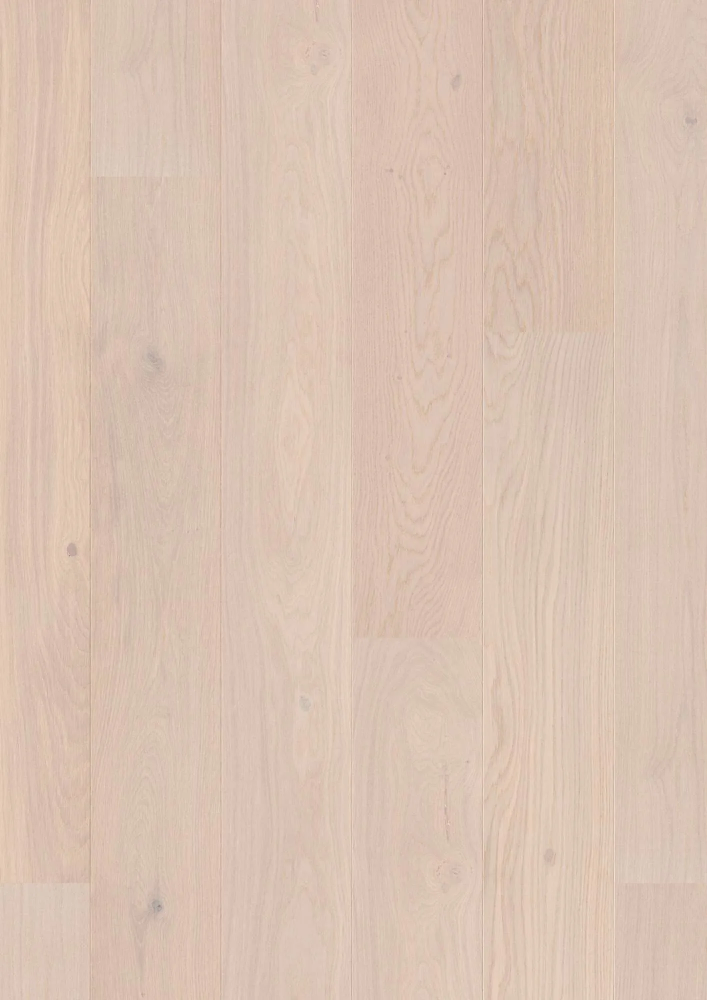 Plank Castle Oak Pearl Animoso