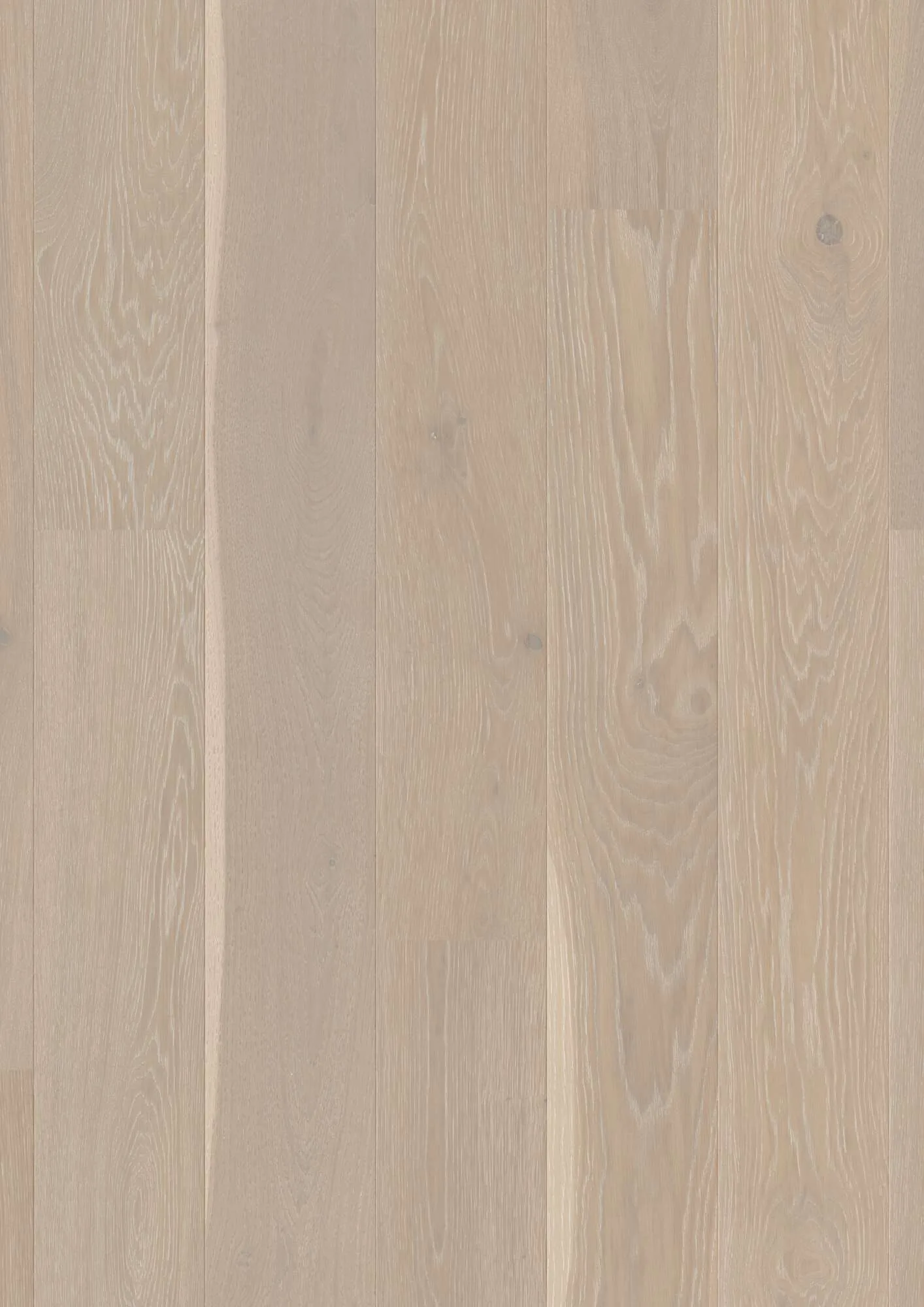 Plank Castle Oak Grey Harmony Animoso