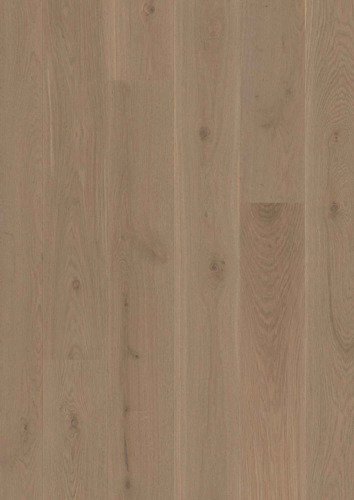 Plank Castle Oak Sand Animoso