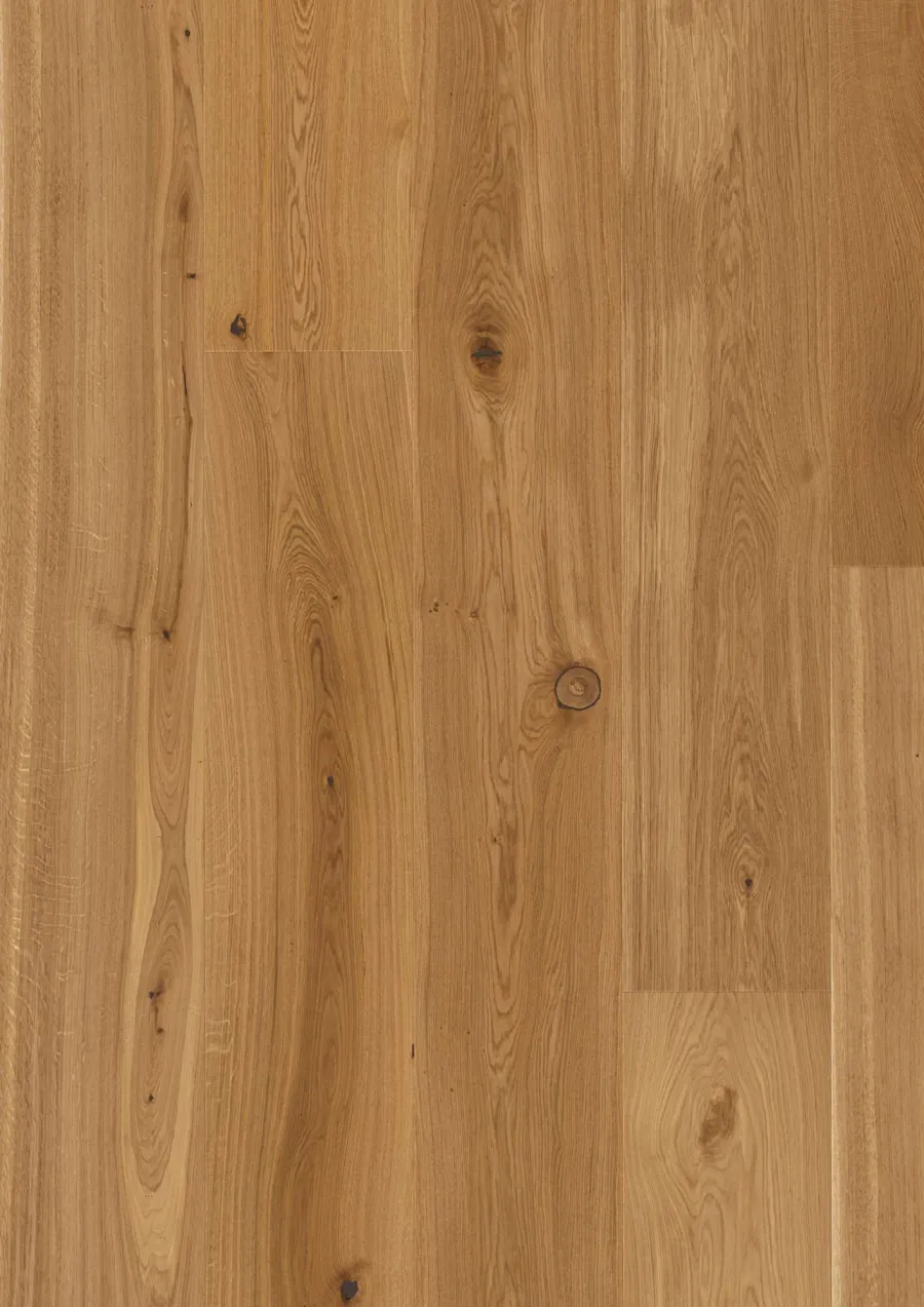 Chalet Oak Transparent Traditional