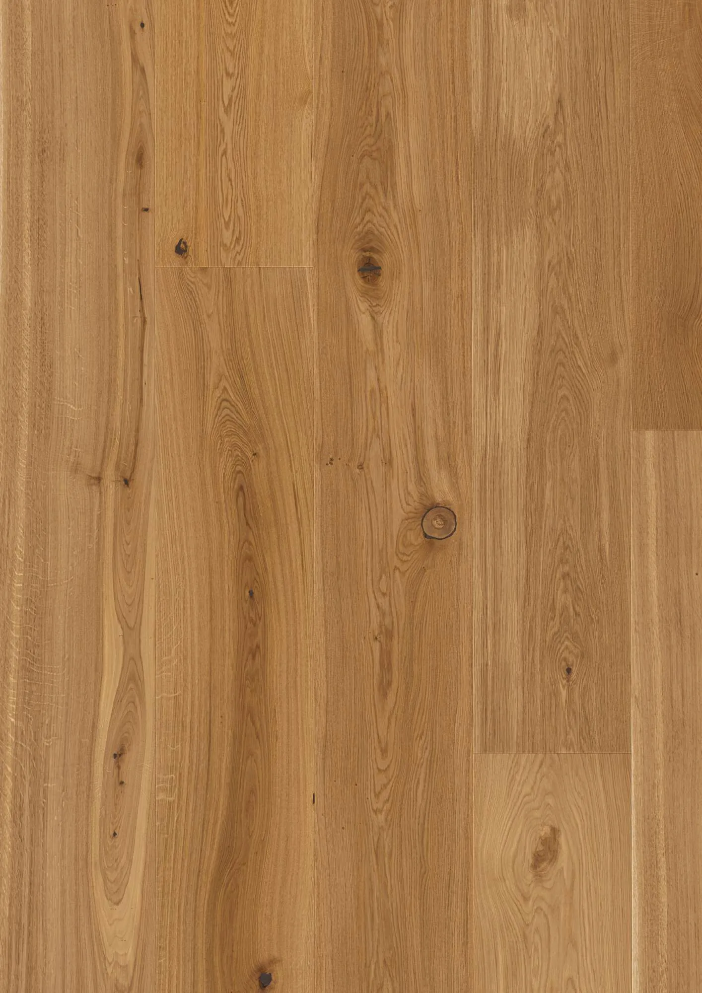 Chalet Oak Transparent Traditional