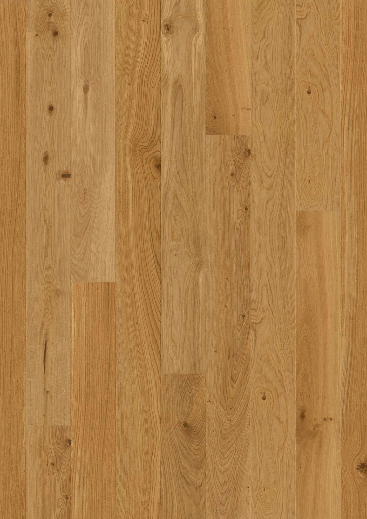 Plank 138 Oak Transparent Animoso