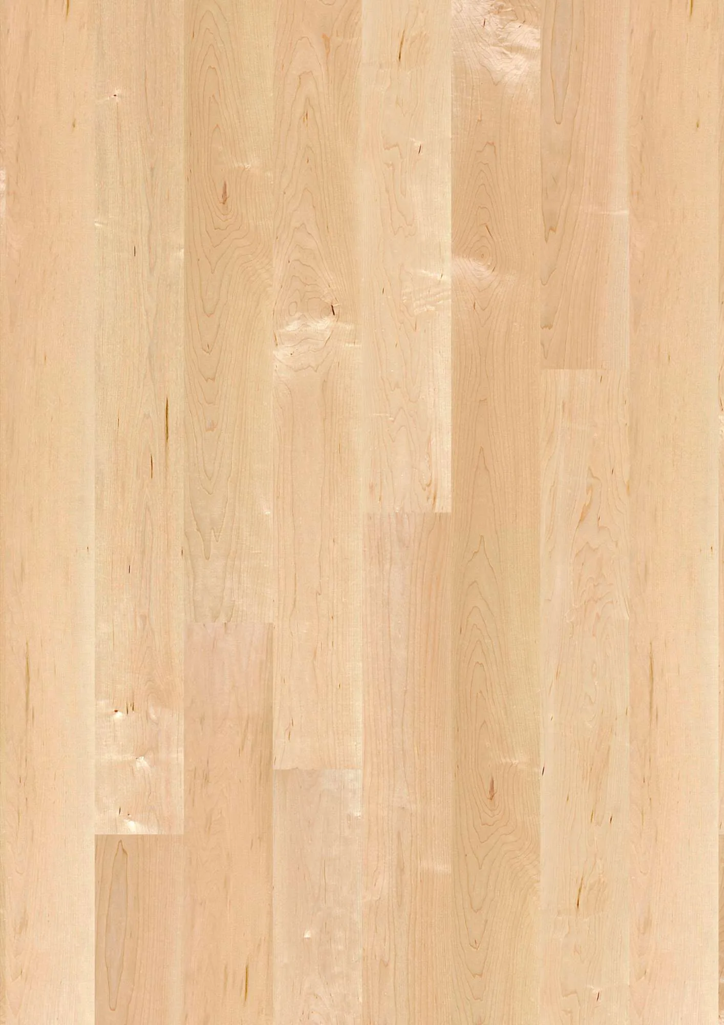 Plank 138 Maple Can. Transparent Andante