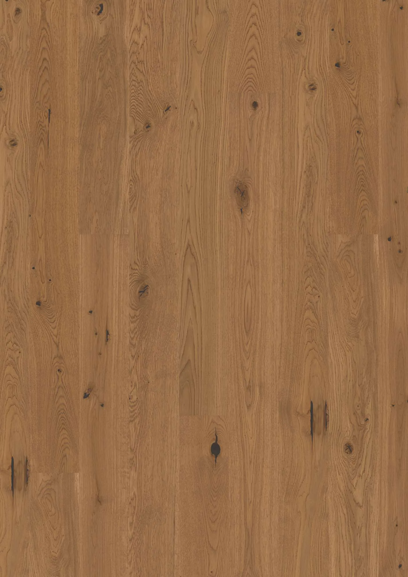 Plank 138 Oak Honey Vivo