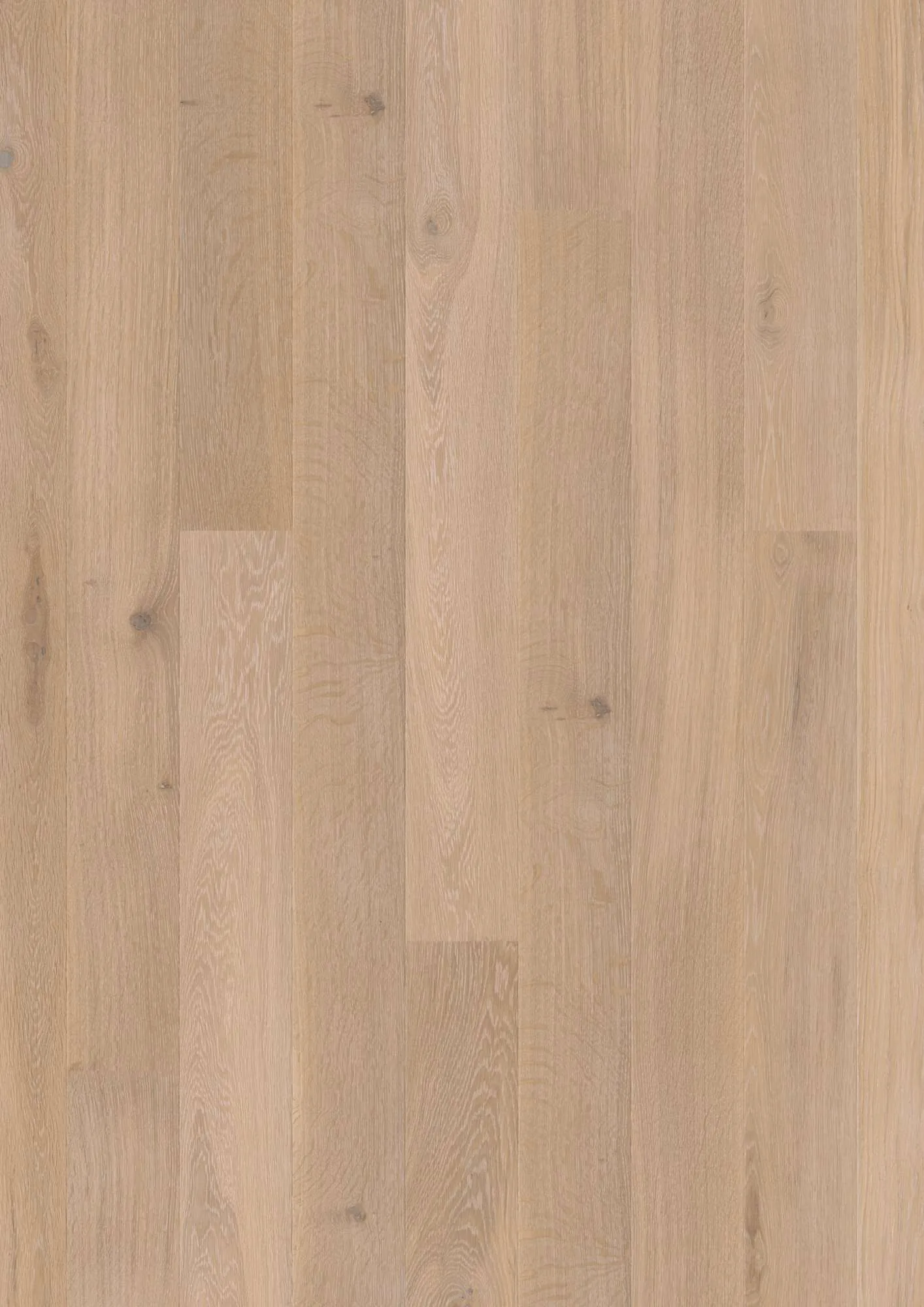 Plank 138 Oak Coral Animoso