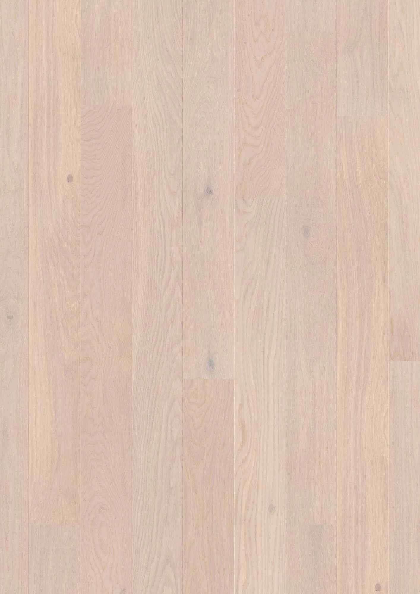 Plank 138 Oak Pearl Animoso