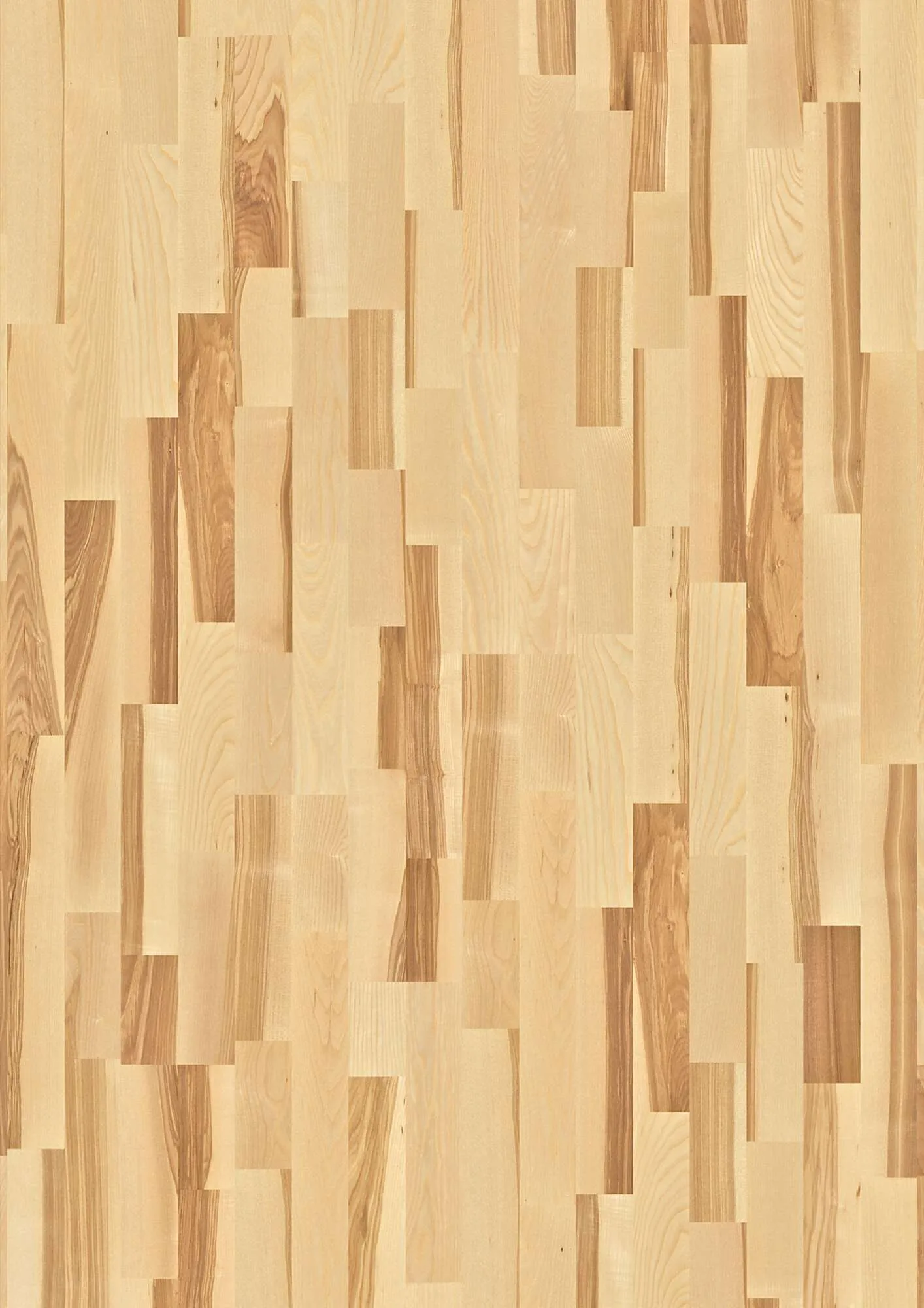 3-Strip 14 mm Ash Transparent Marcato