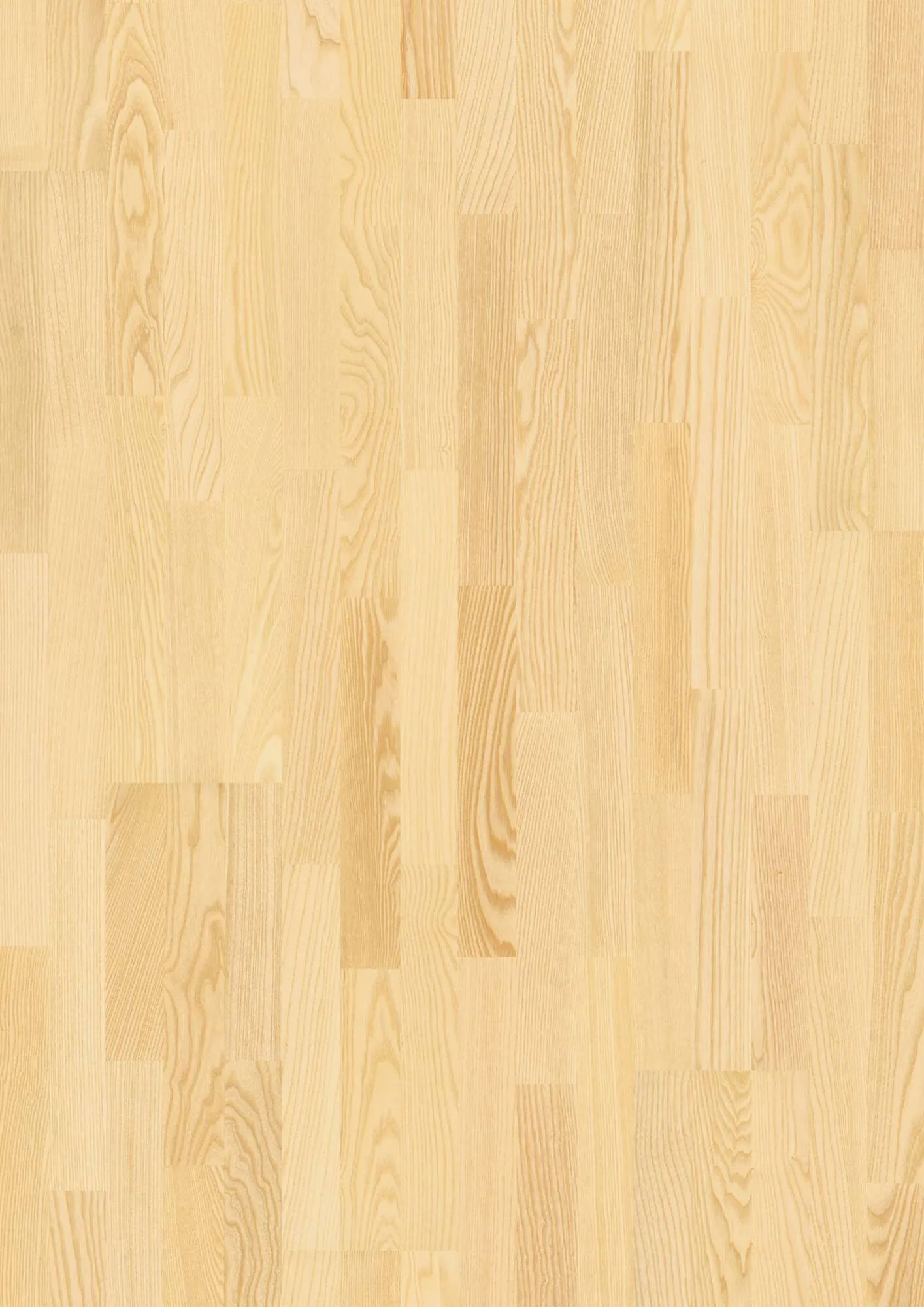 3-Strip 14 mm Ash Transparent Andante