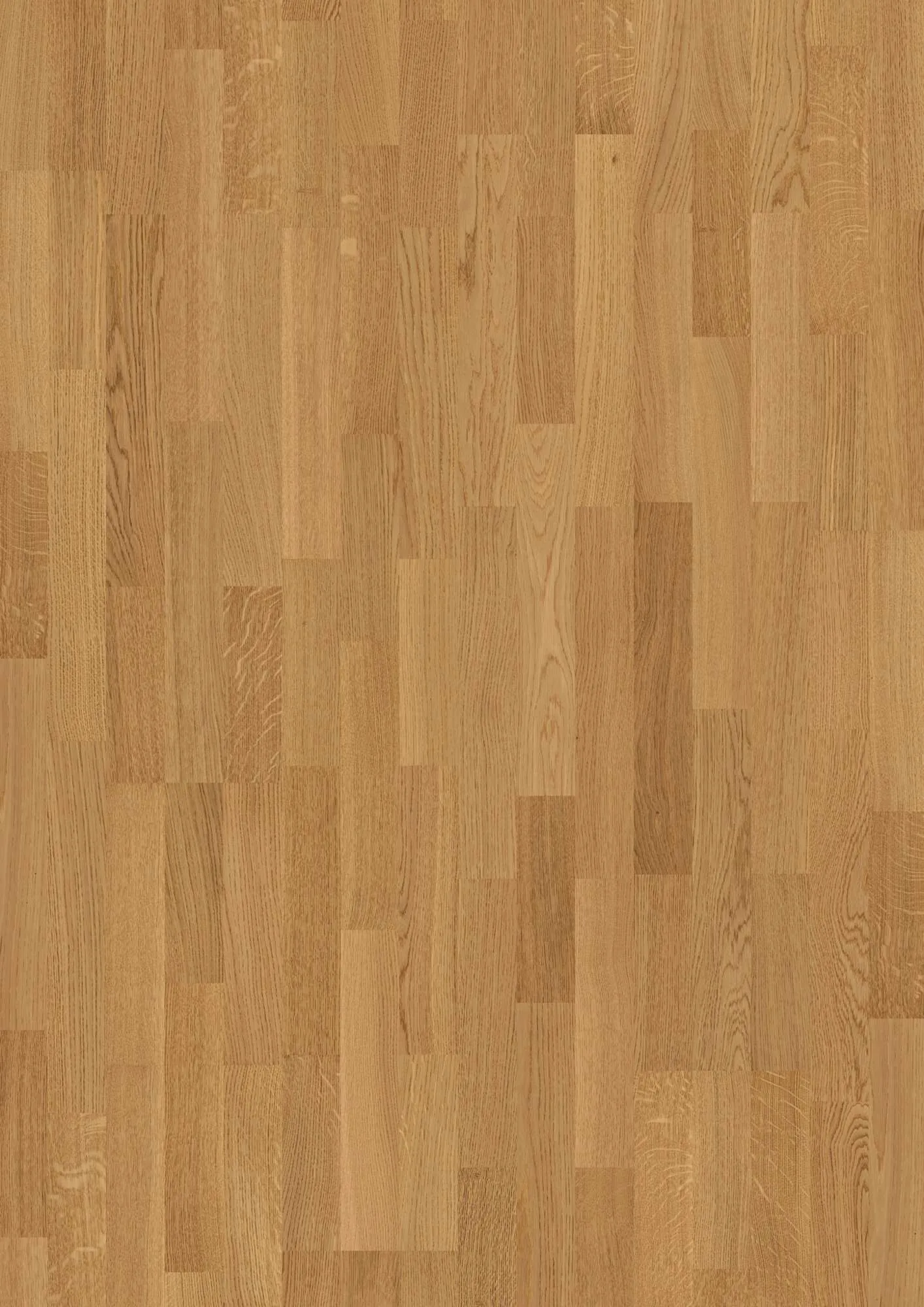 3-Strip 14 mm Oak Transparent Adagio