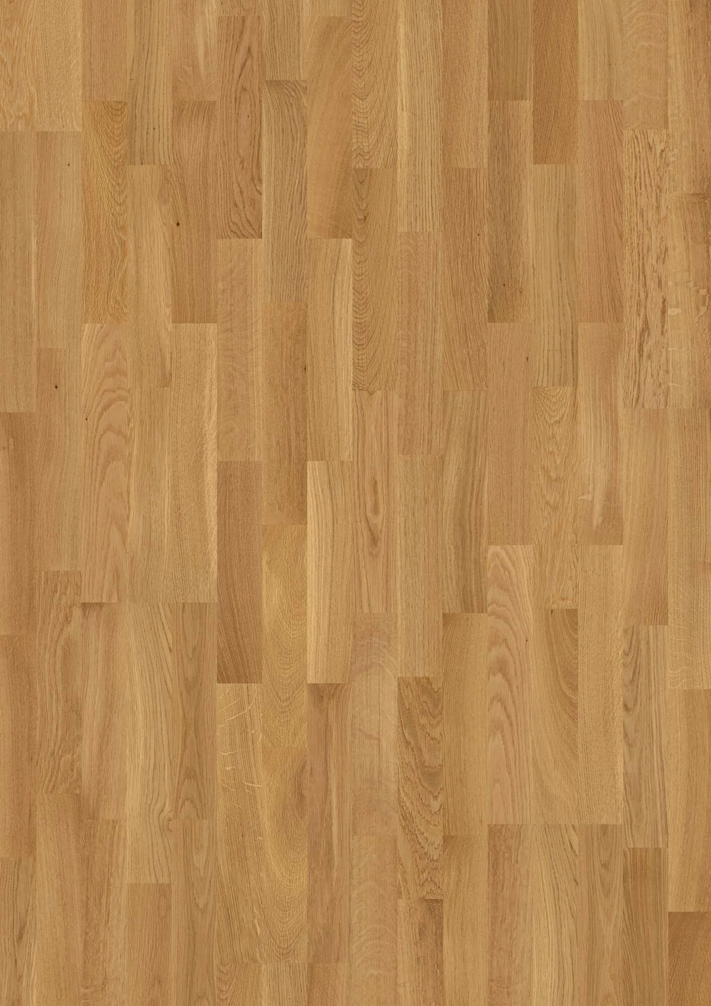 3-Strip 14 mm Oak Transparent Andante