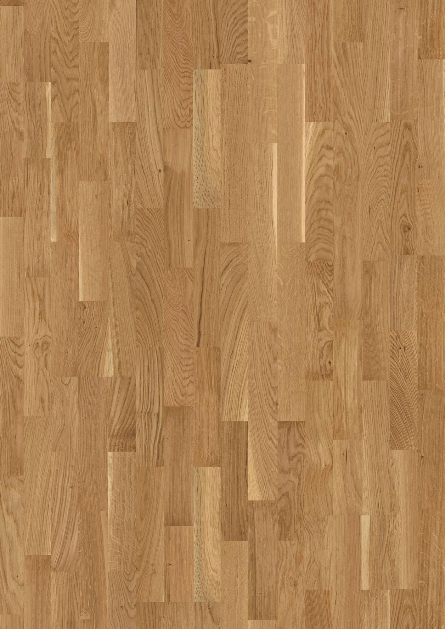 3-Strip 14 mm Oak Transparent Finale