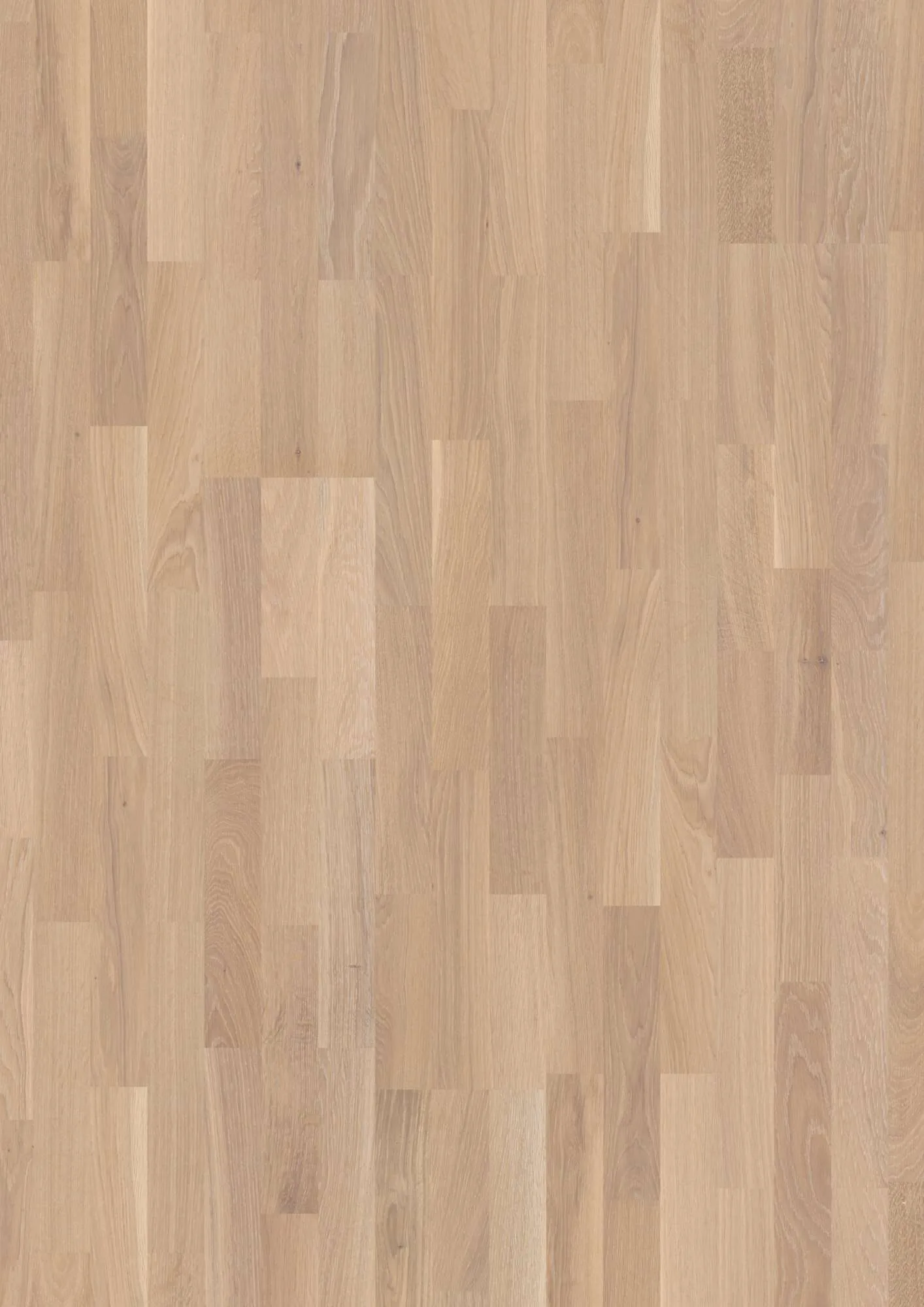 3-Strip 14 mm Oak Coral Finale