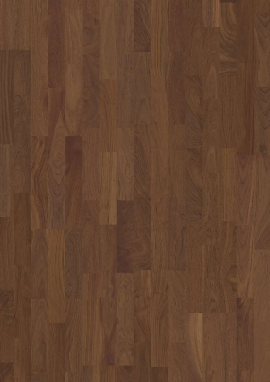 3-Strip 14 mm Walnut Am. Transparent Andante