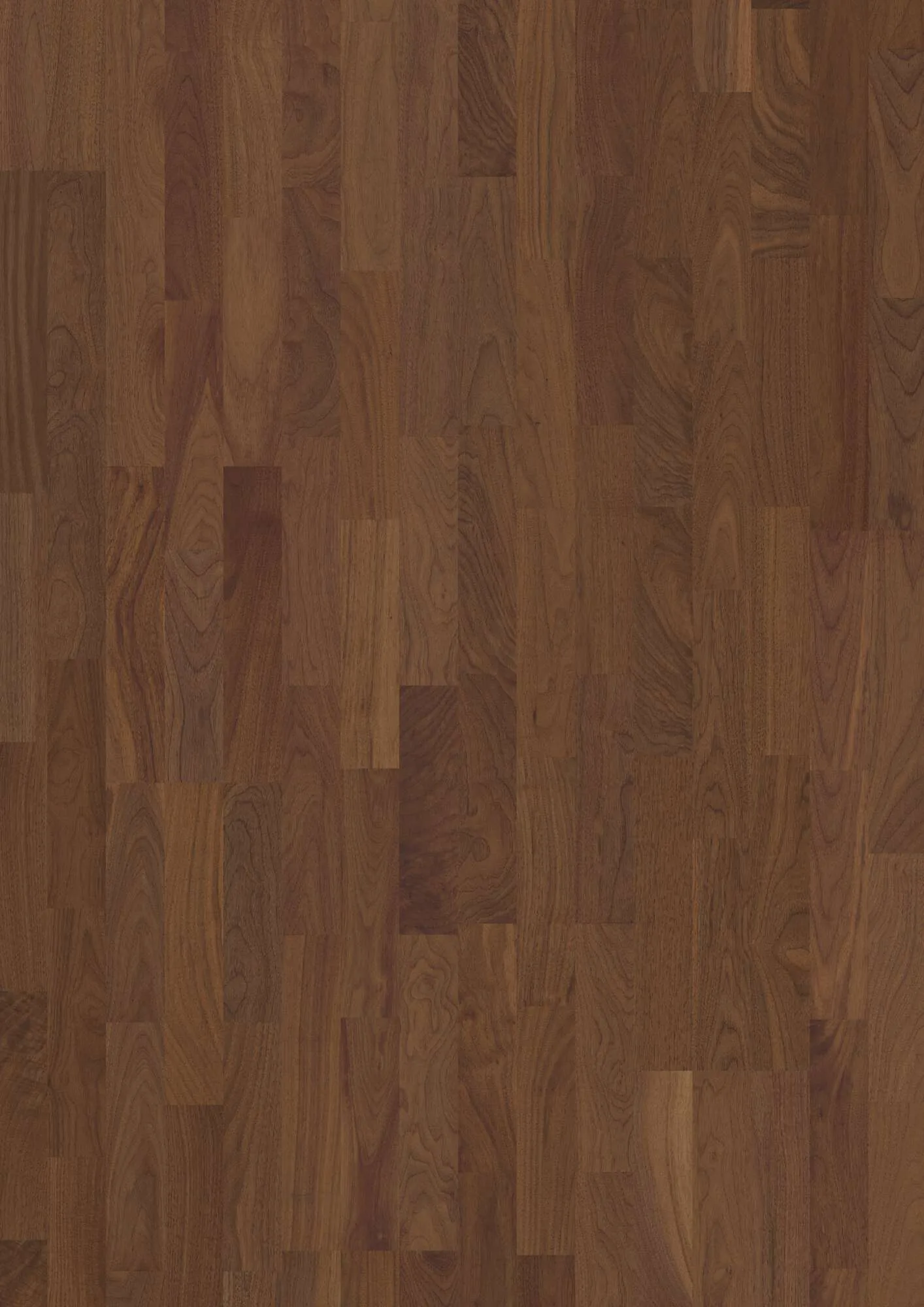 3-Strip 14 mm Walnut Am. Transparent Andante