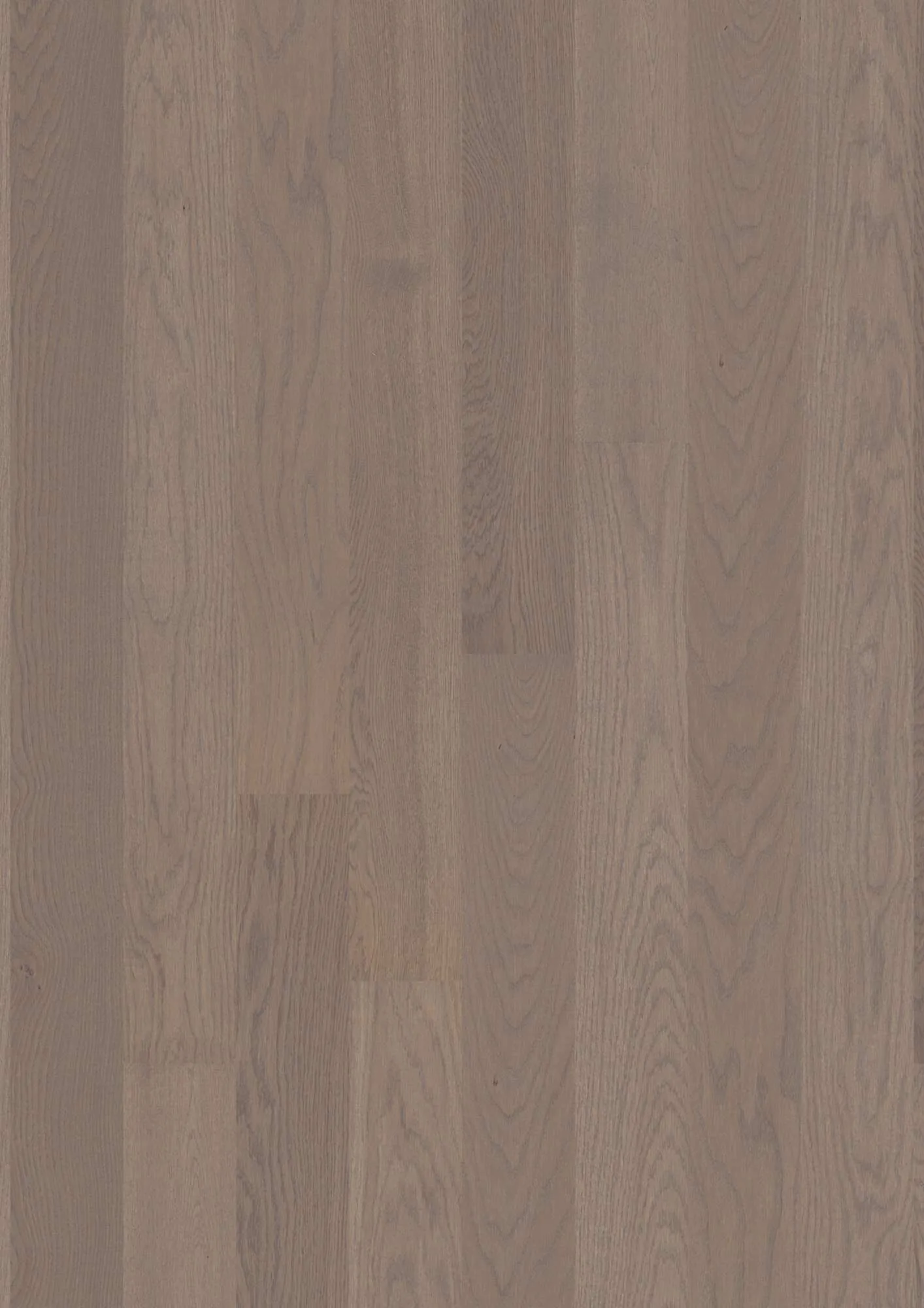 Plank 138 Oak Arizona Concerto
