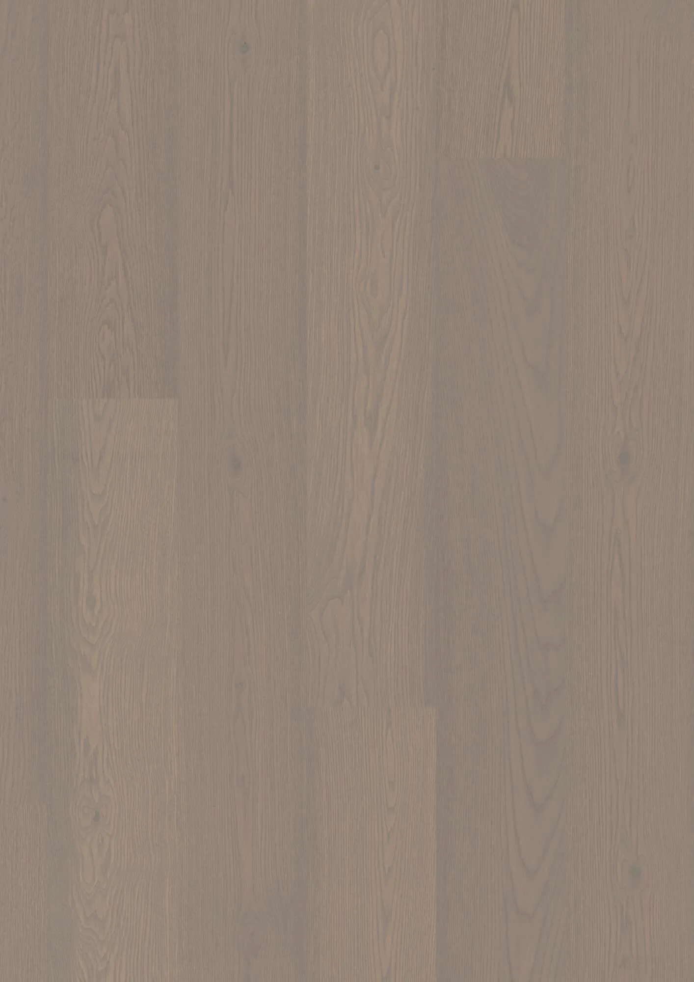 Plank Castle Oak Horizon Animoso