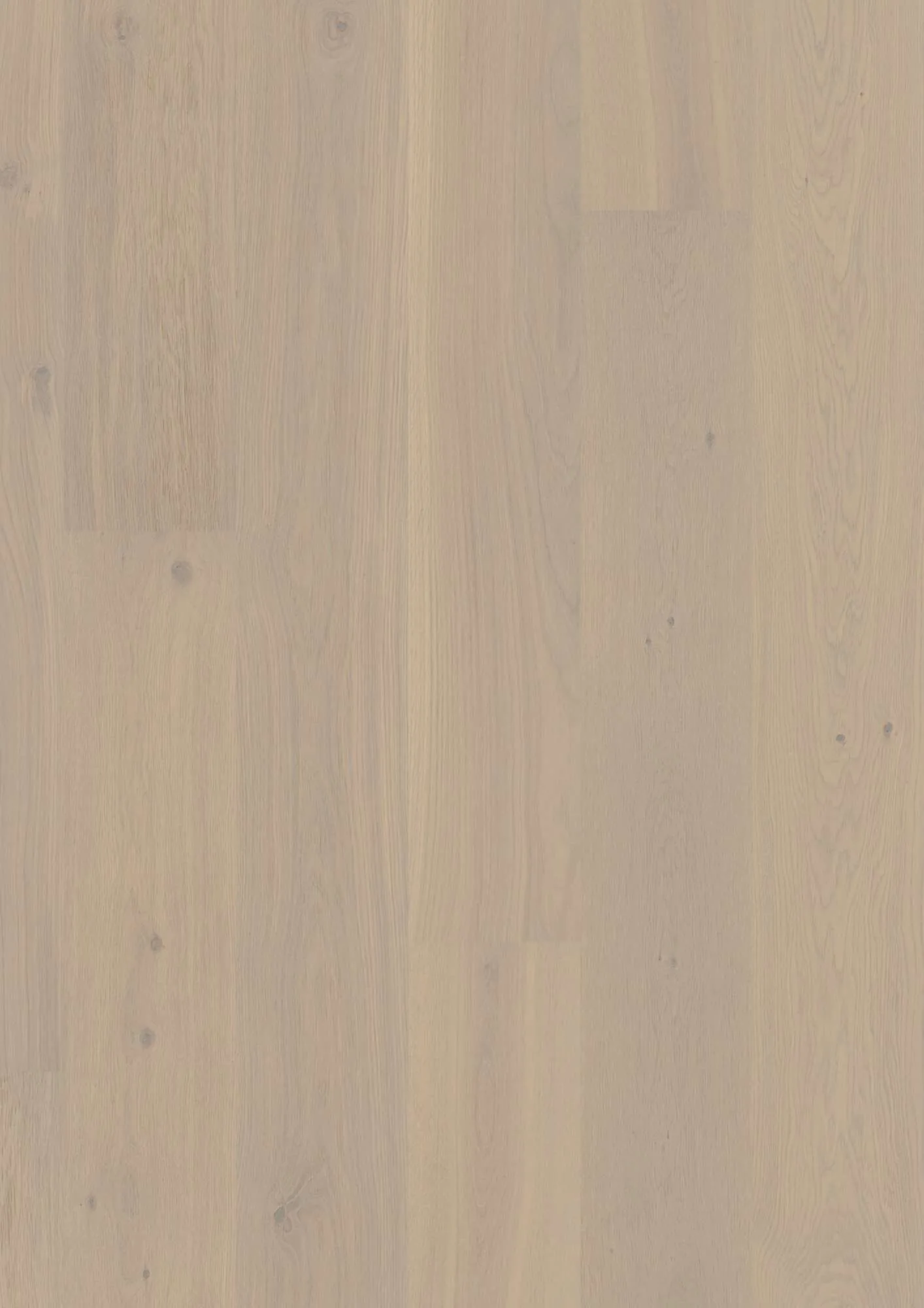 Plank Castle Oak Warm Cotton Animoso