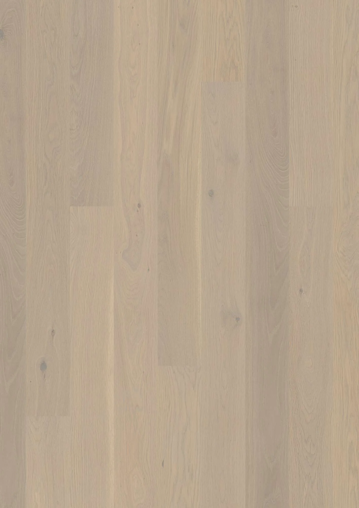 Plank 138 Oak Warm Cotton Animoso