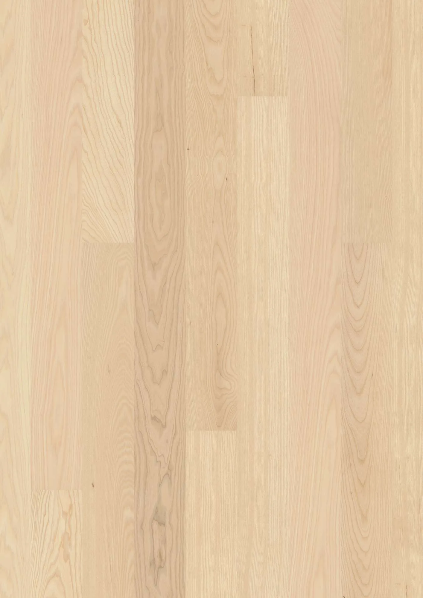 Plank 138 Ash Transparent Andante