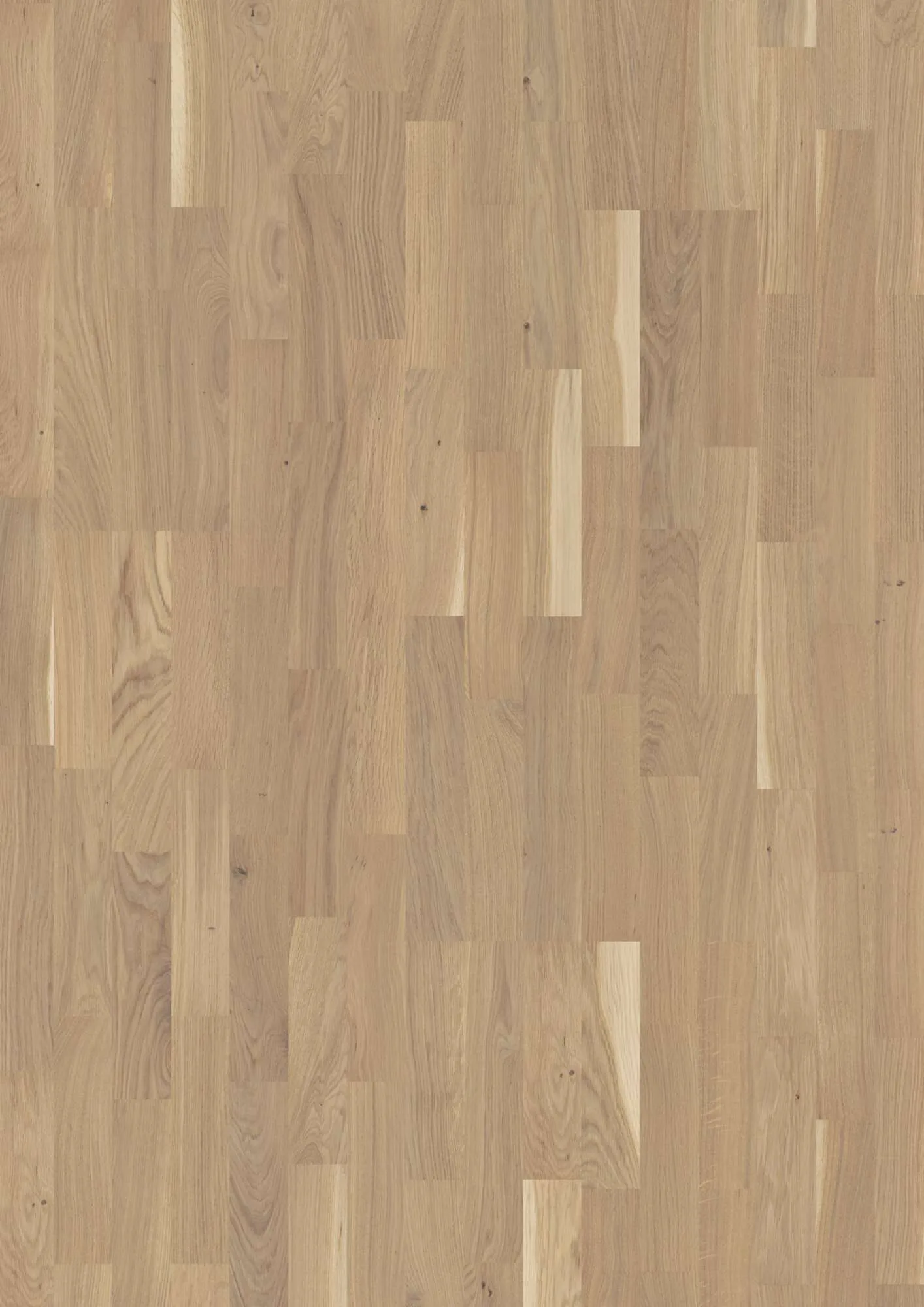 3-Strip 14 mm Oak Transparent Finale