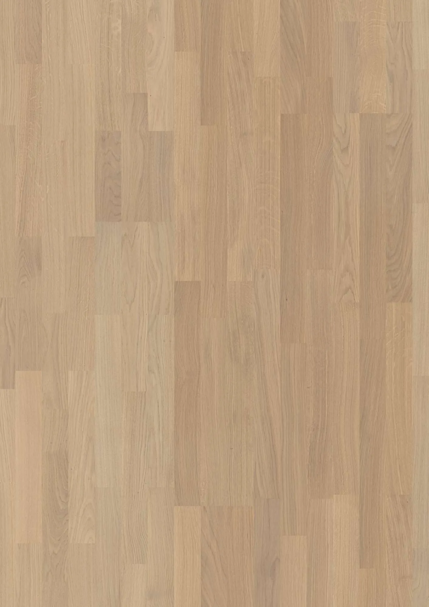 3-Strip 14 mm Oak Transparent Andante