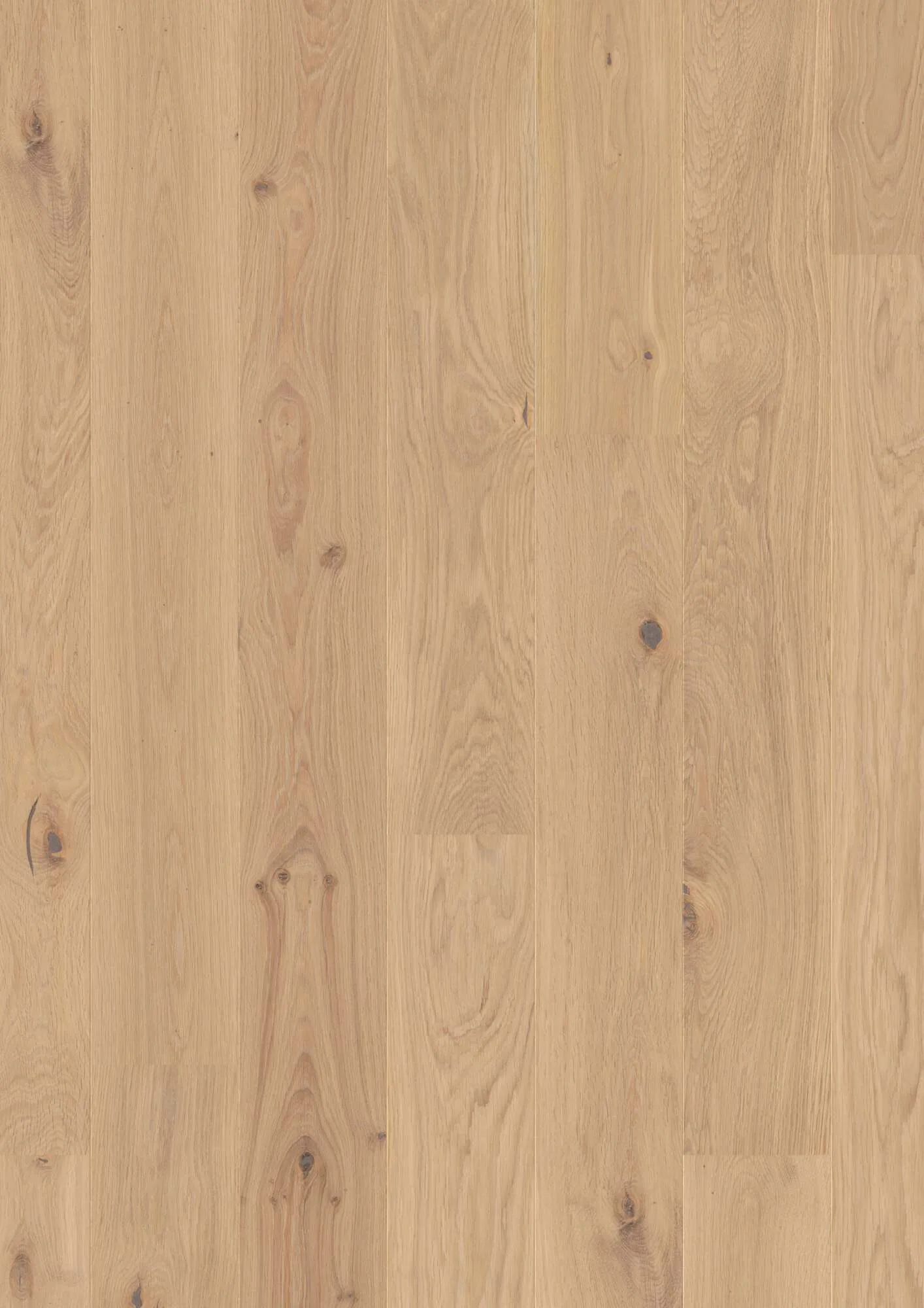 Plank 181 14 mm Oak Transparent Animoso