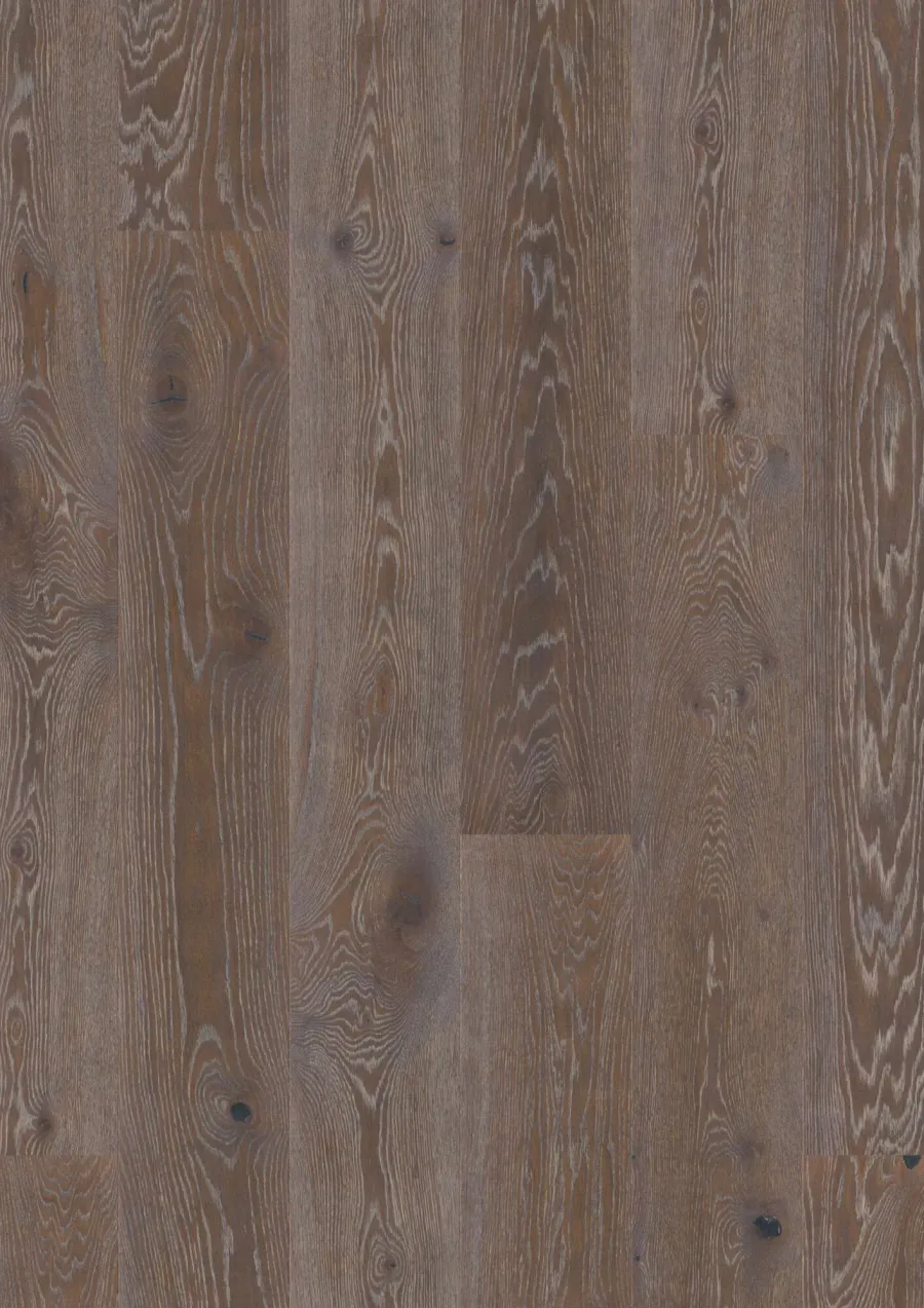 Plank Castle Oak Graphite Vivo