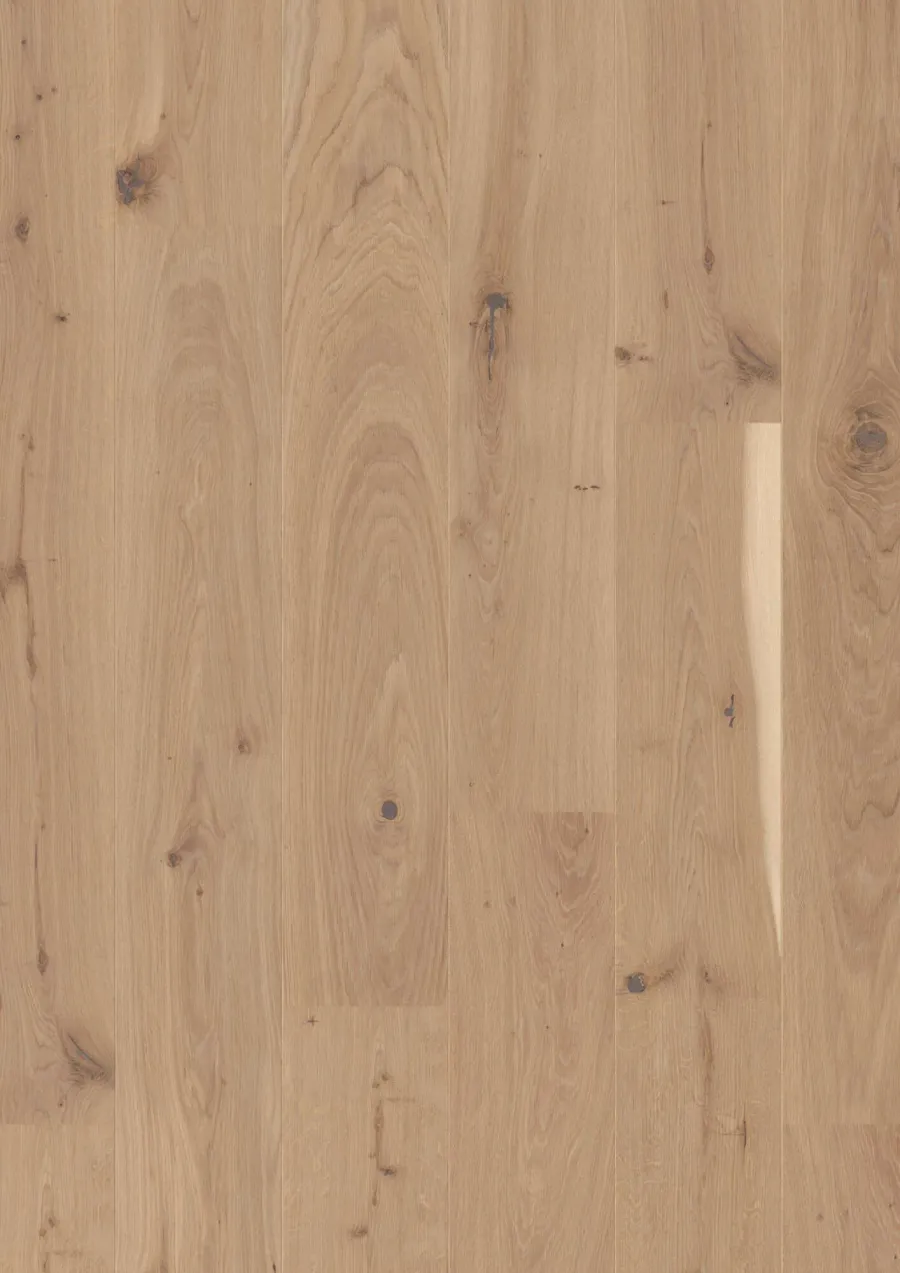 Plank Castle Oak Transparent Vivo
