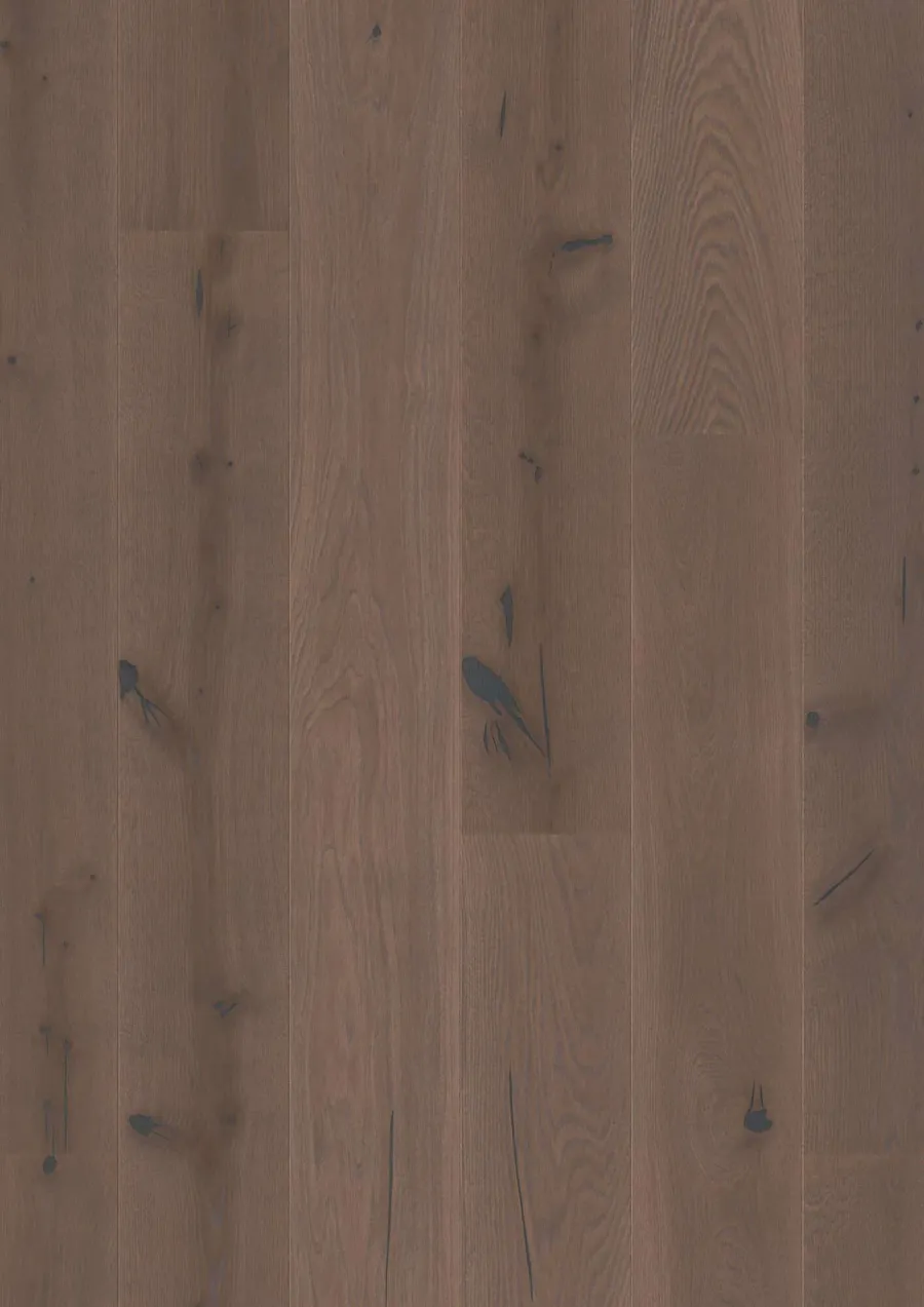 Plank Castle Oak Elephant Grey Espressivo