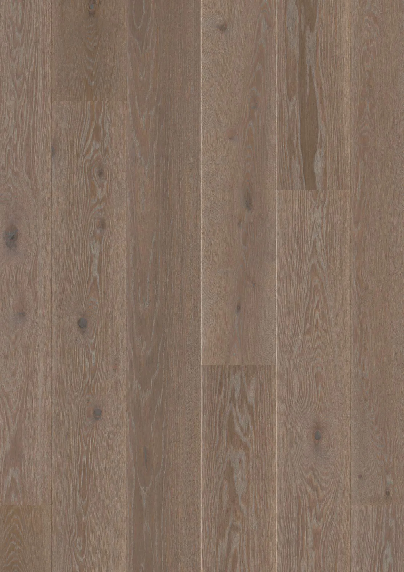 Plank Castle Oak India Grey Animoso