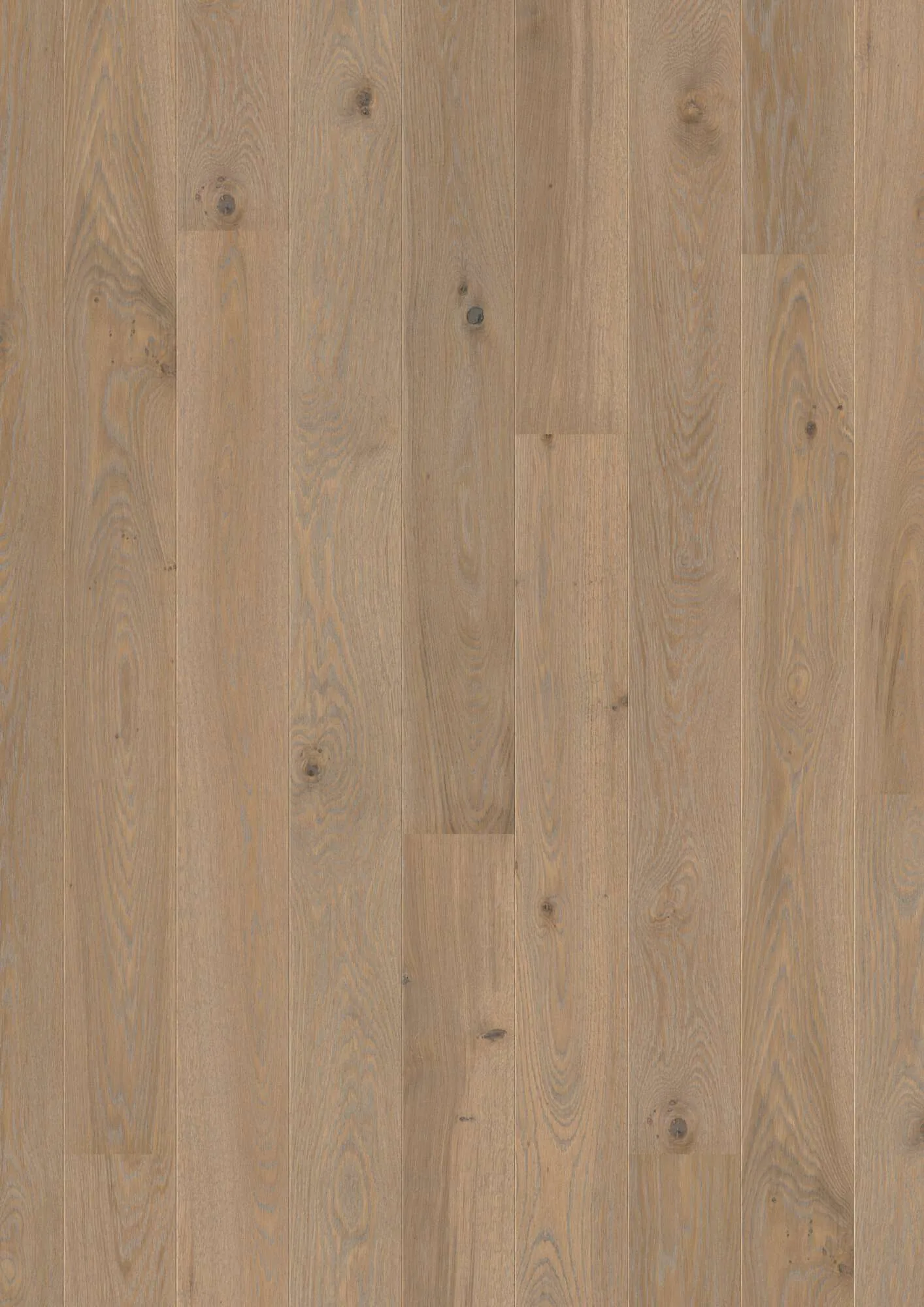 Plank 138 Oak Warm Grey Animoso
