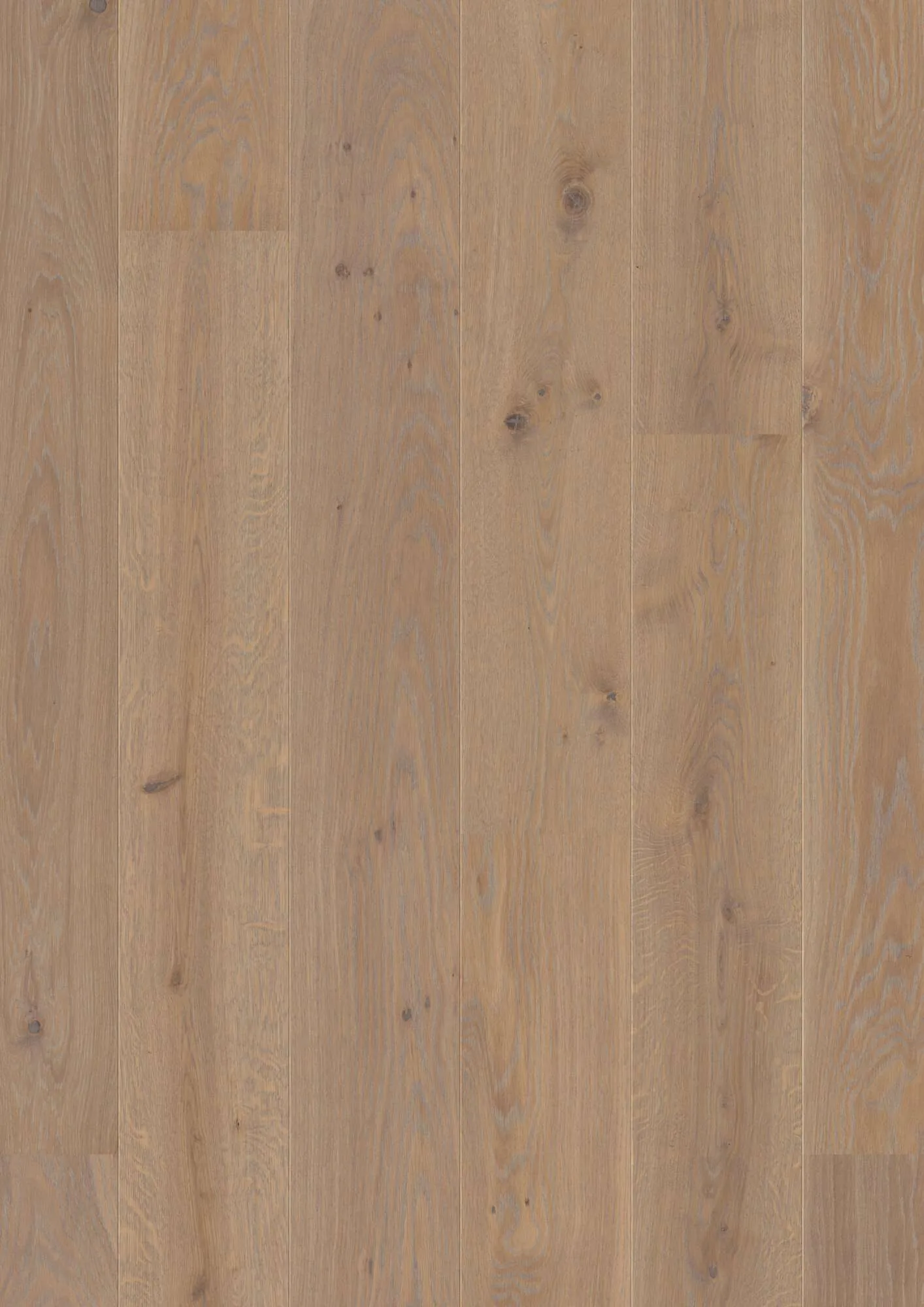 Plank Castle Oak Warm Grey Animoso