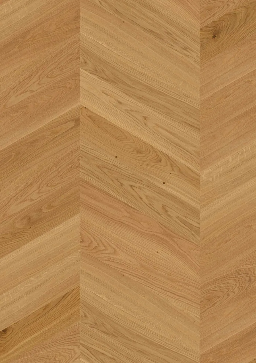 Chevron Oak Transparent Adagio