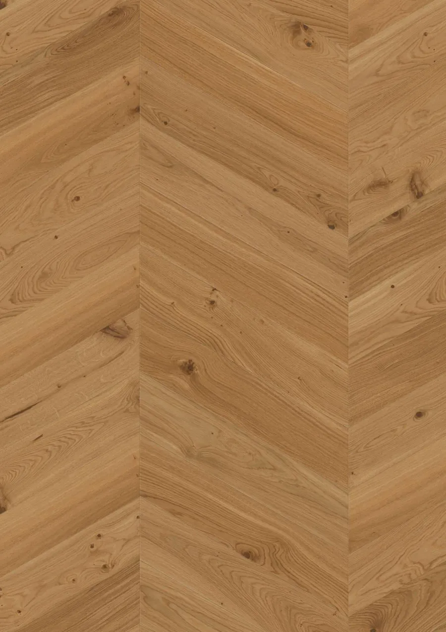 Chevron Oak Transparent Animoso
