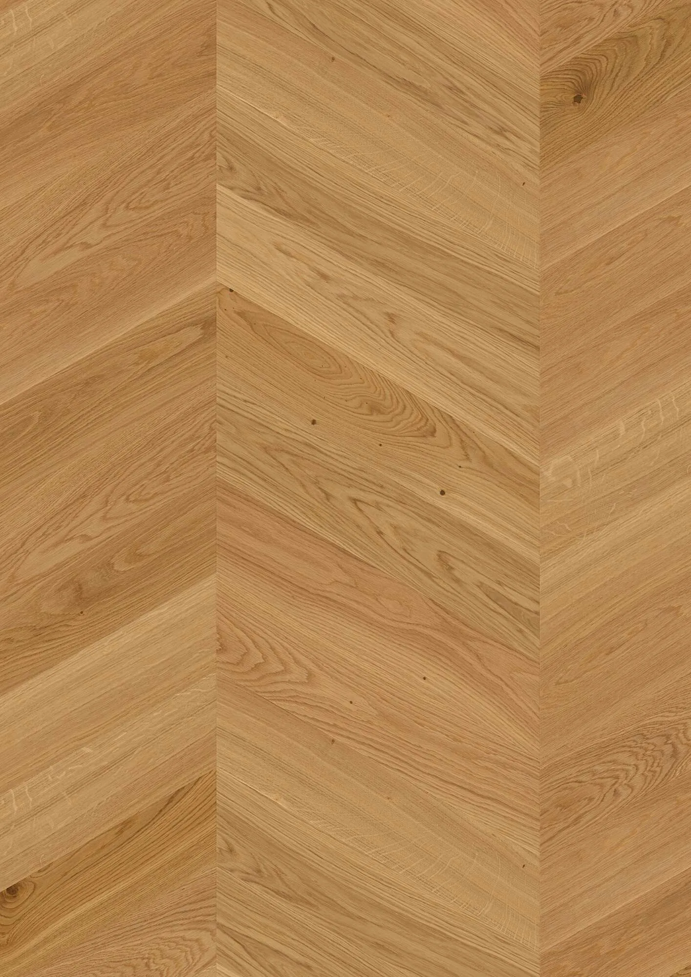 Chevron Oak Transparent Adagio