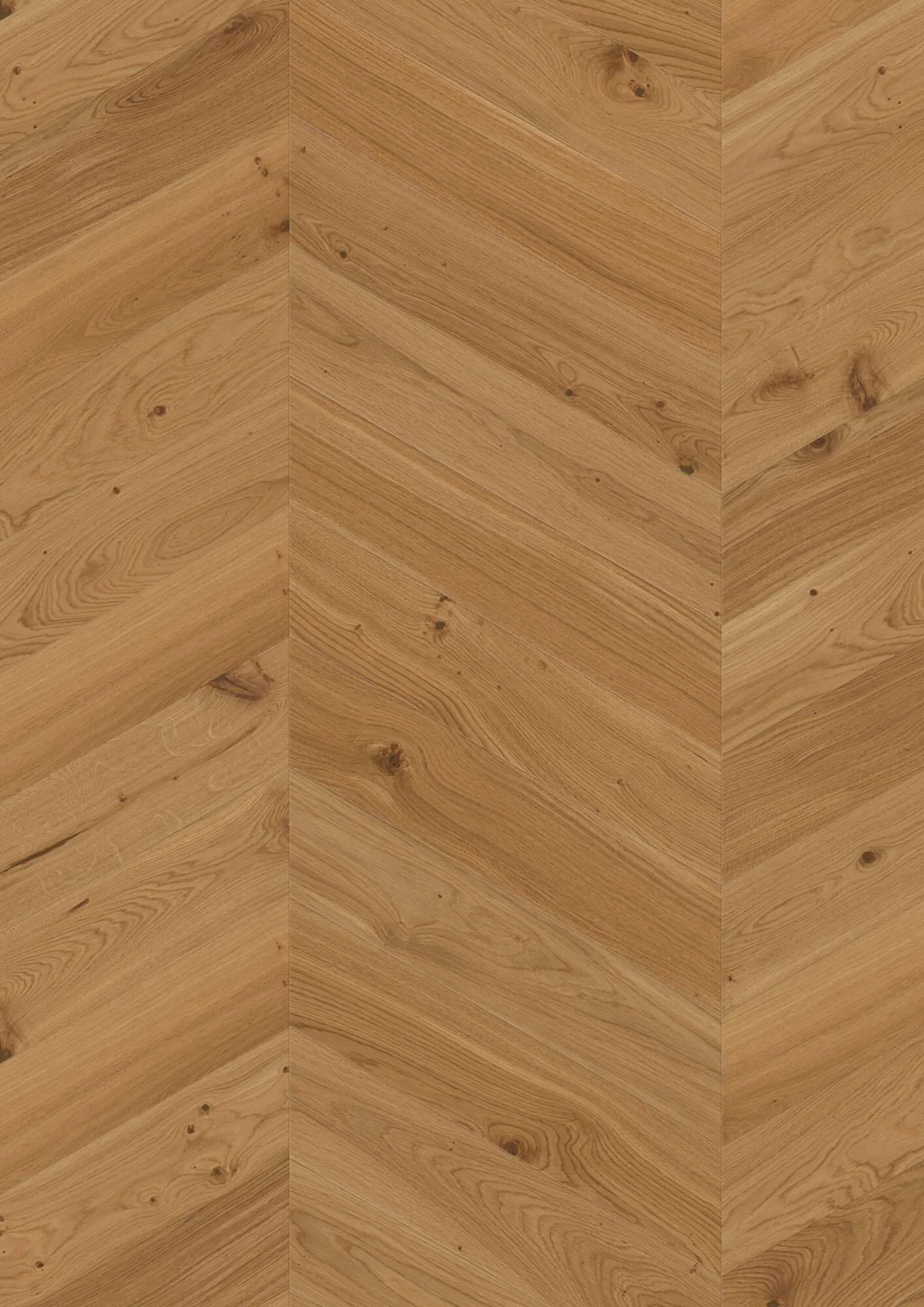 Chevron Oak Transparent Animoso