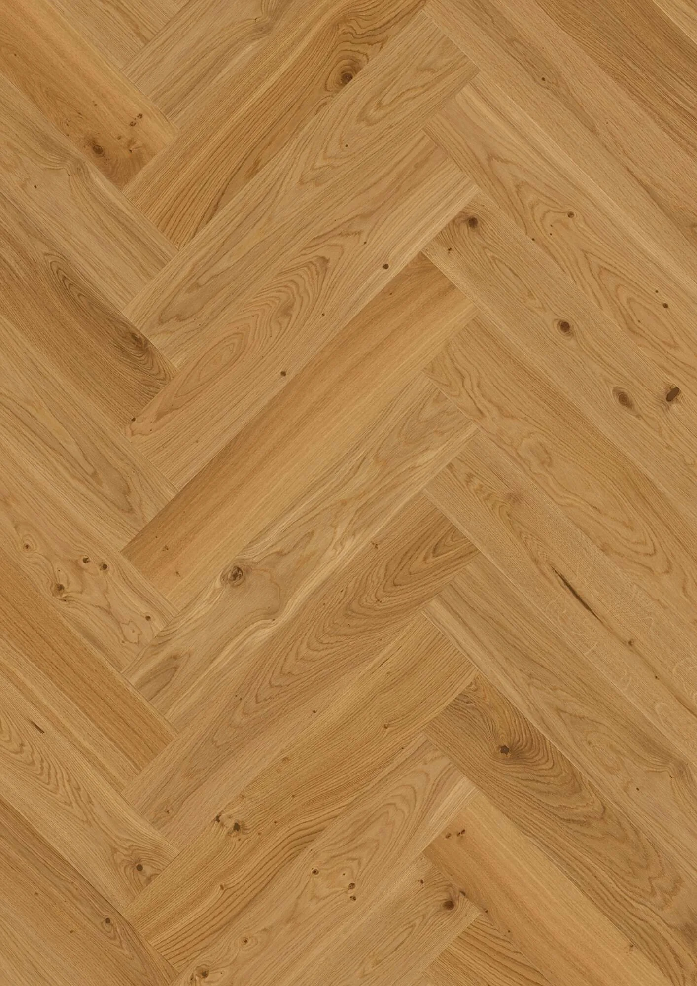 Herringbone Click Oak Transparent Animoso
